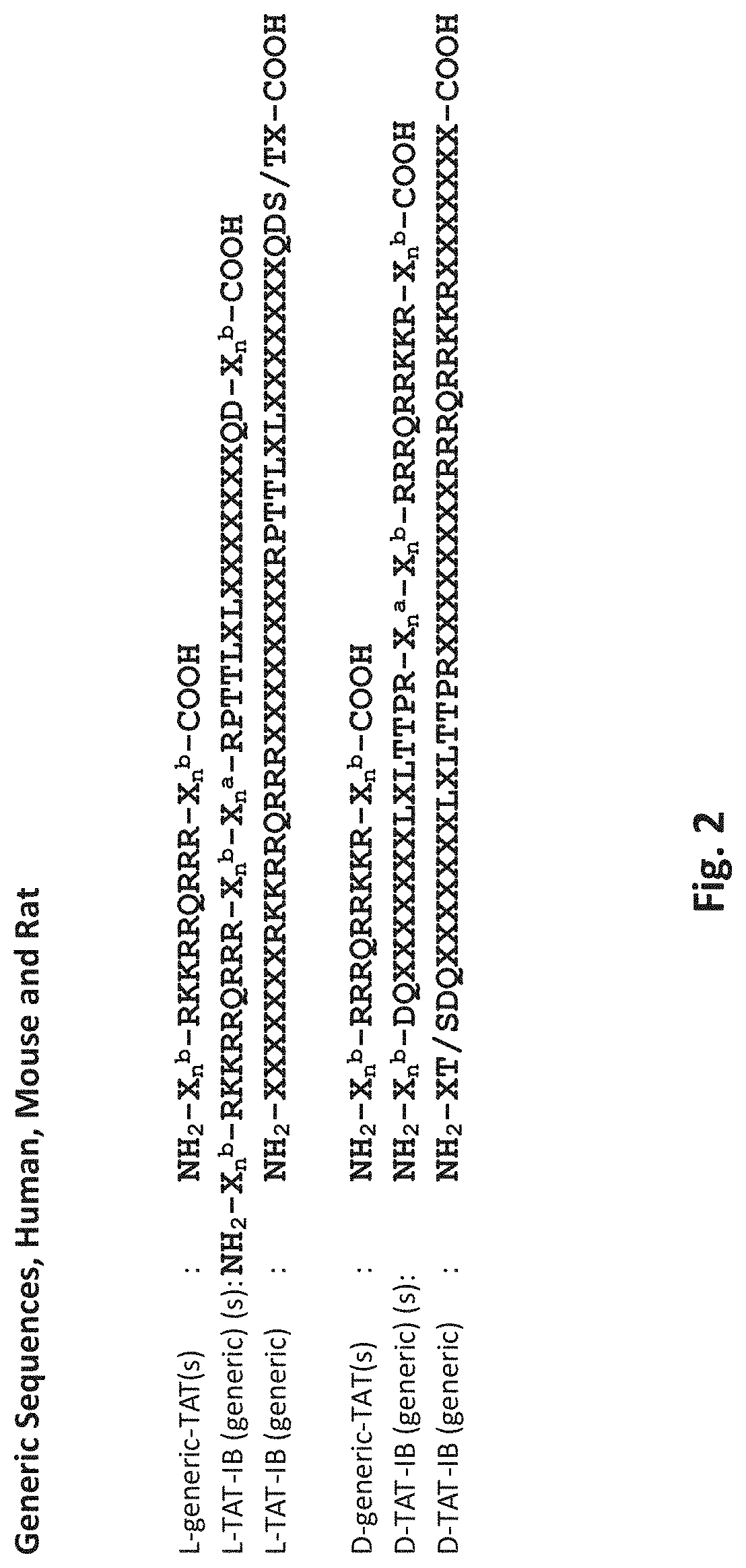 Patent US11779628 Figure 2 – Use of cell-permeable peptide inhibitors of the JNK signal transduction pathway for the treatment of various diseases