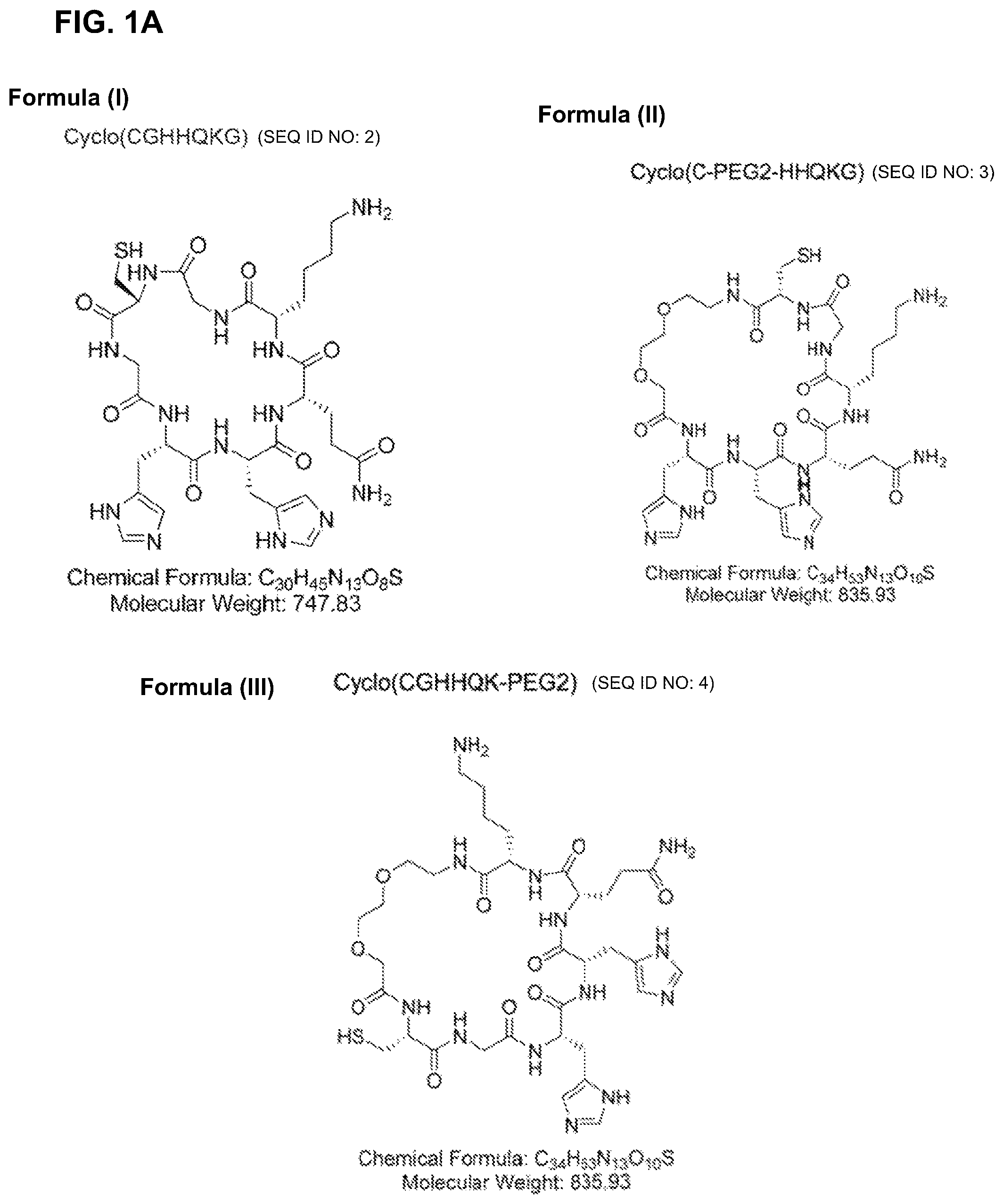 Patent US11779629 Figure 1 – Compositions comprising cyclic peptides derived from an A-beta peptide