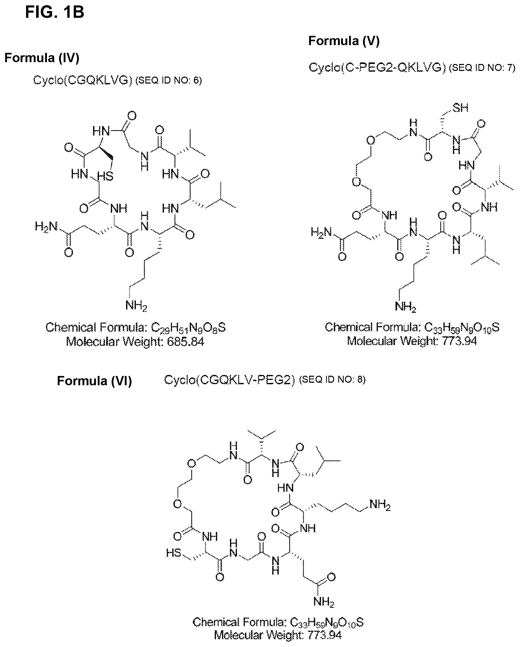 Patent US11779629 Figure 2 – Compositions comprising cyclic peptides derived from an A-beta peptide