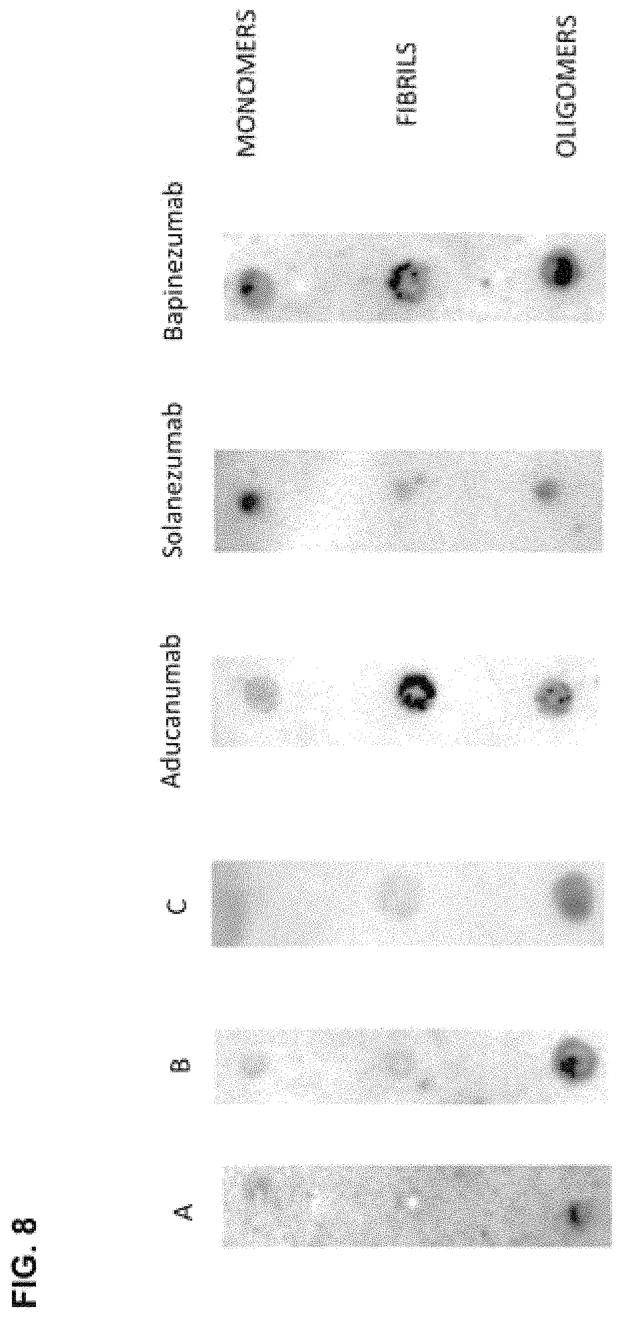 Patent US11779629 Figure 19 – Compositions comprising cyclic peptides derived from an A-beta peptide