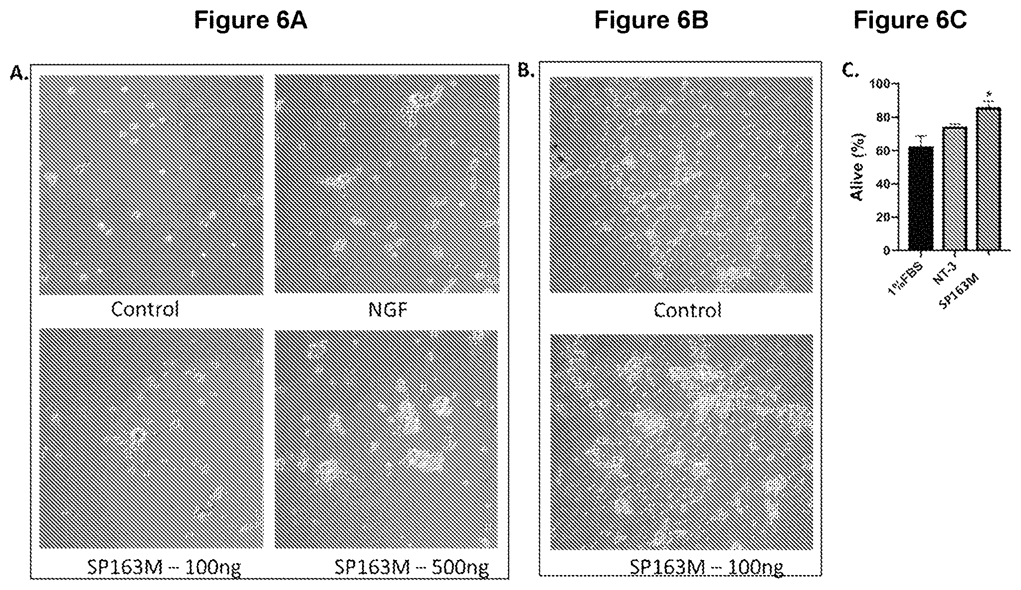 Patent US11779630 Figure 6 – Peptides and methods of using the same