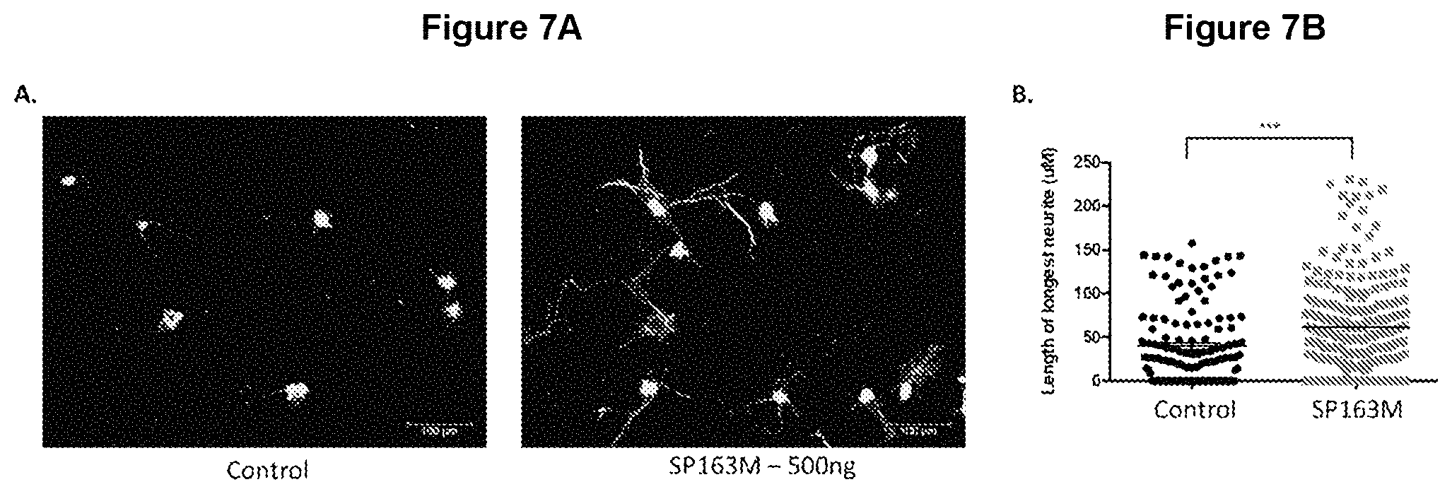 Patent US11779630 Figure 7 – Peptides and methods of using the same