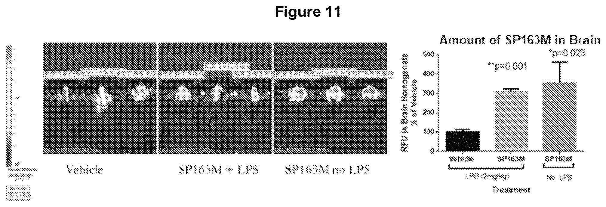 Patent US11779630 Figure 11 – Peptides and methods of using the same