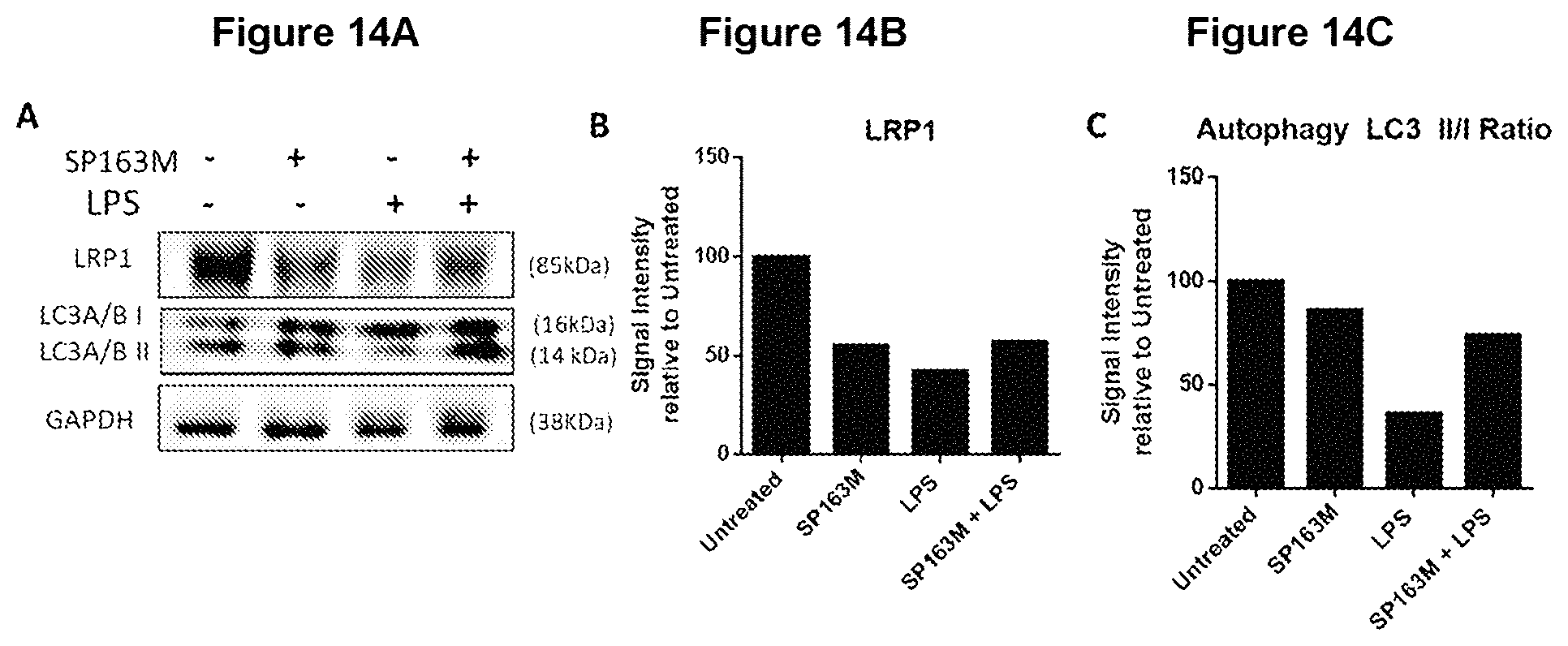 Patent US11779630 Figure 14 – Peptides and methods of using the same