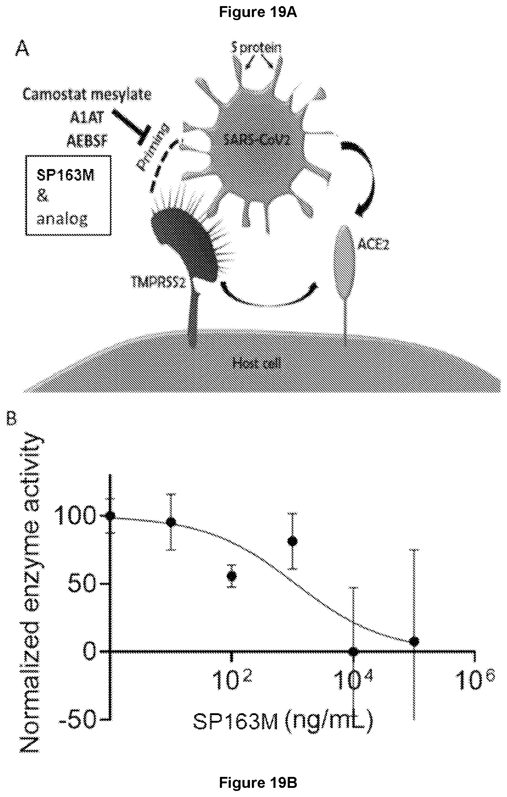 Patent US11779630 Figure 19 – Peptides and methods of using the same