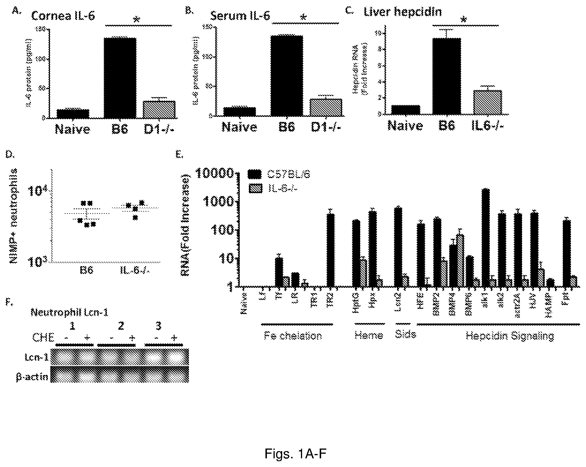 Patent US11779634 Figure 1 – Fungal iron acquisition inhibitors and uses thereof