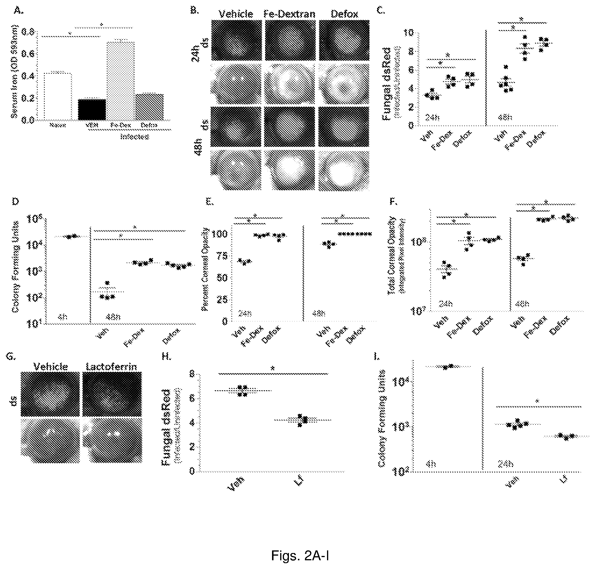 Patent US11779634 Figure 2 – Fungal iron acquisition inhibitors and uses thereof