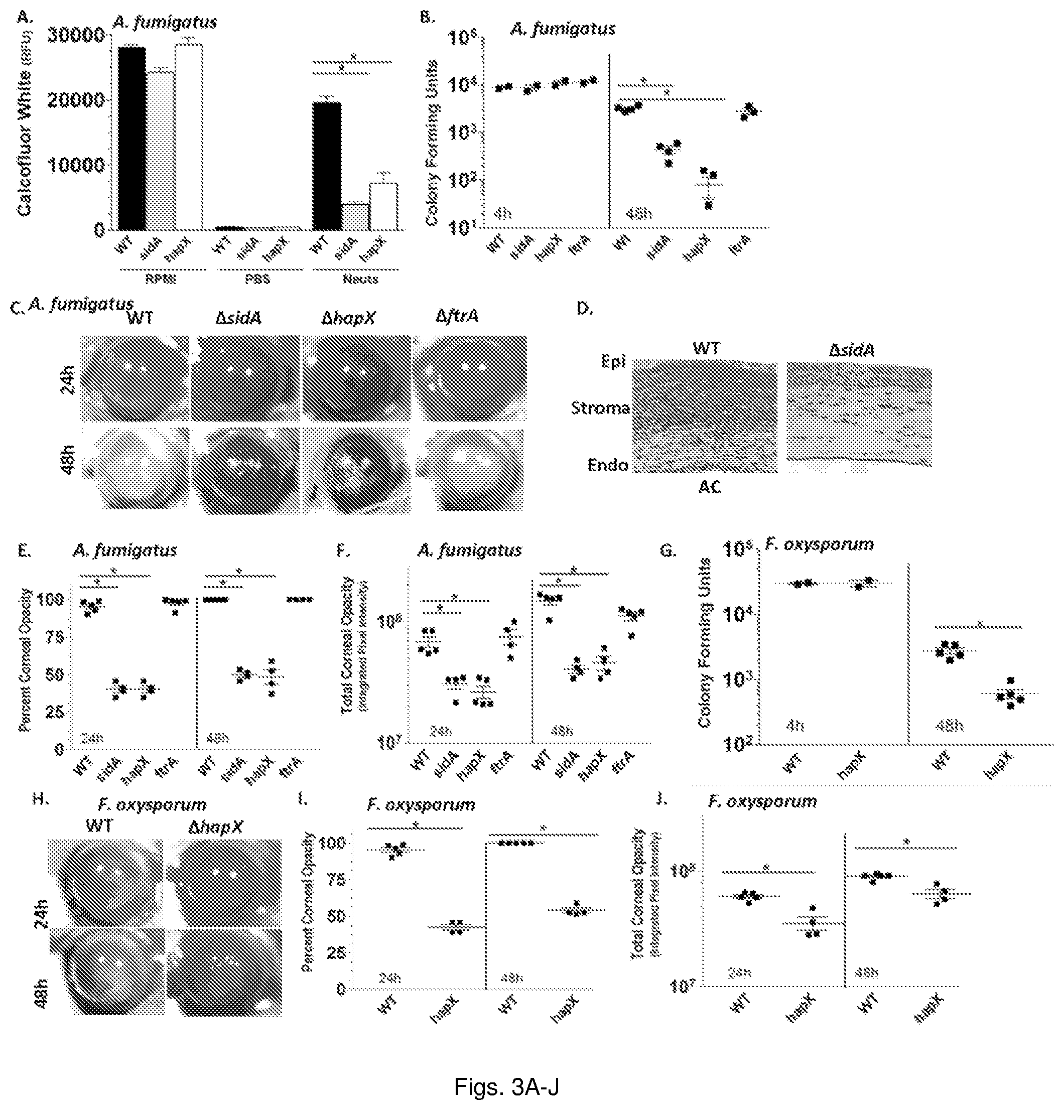 Patent US11779634 Figure 3 – Fungal iron acquisition inhibitors and uses thereof