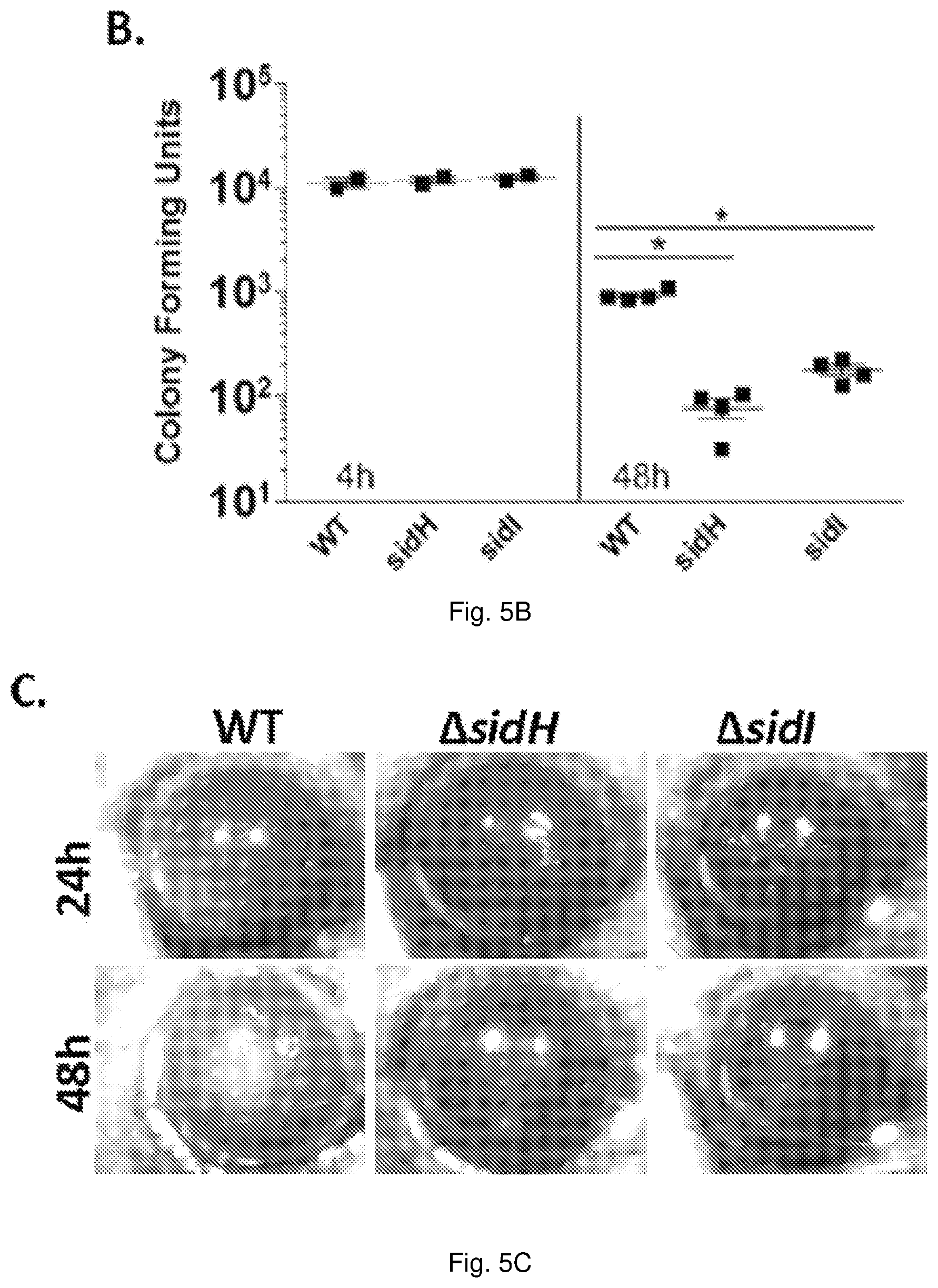 Patent US11779634 Figure 6 – Fungal iron acquisition inhibitors and uses thereof