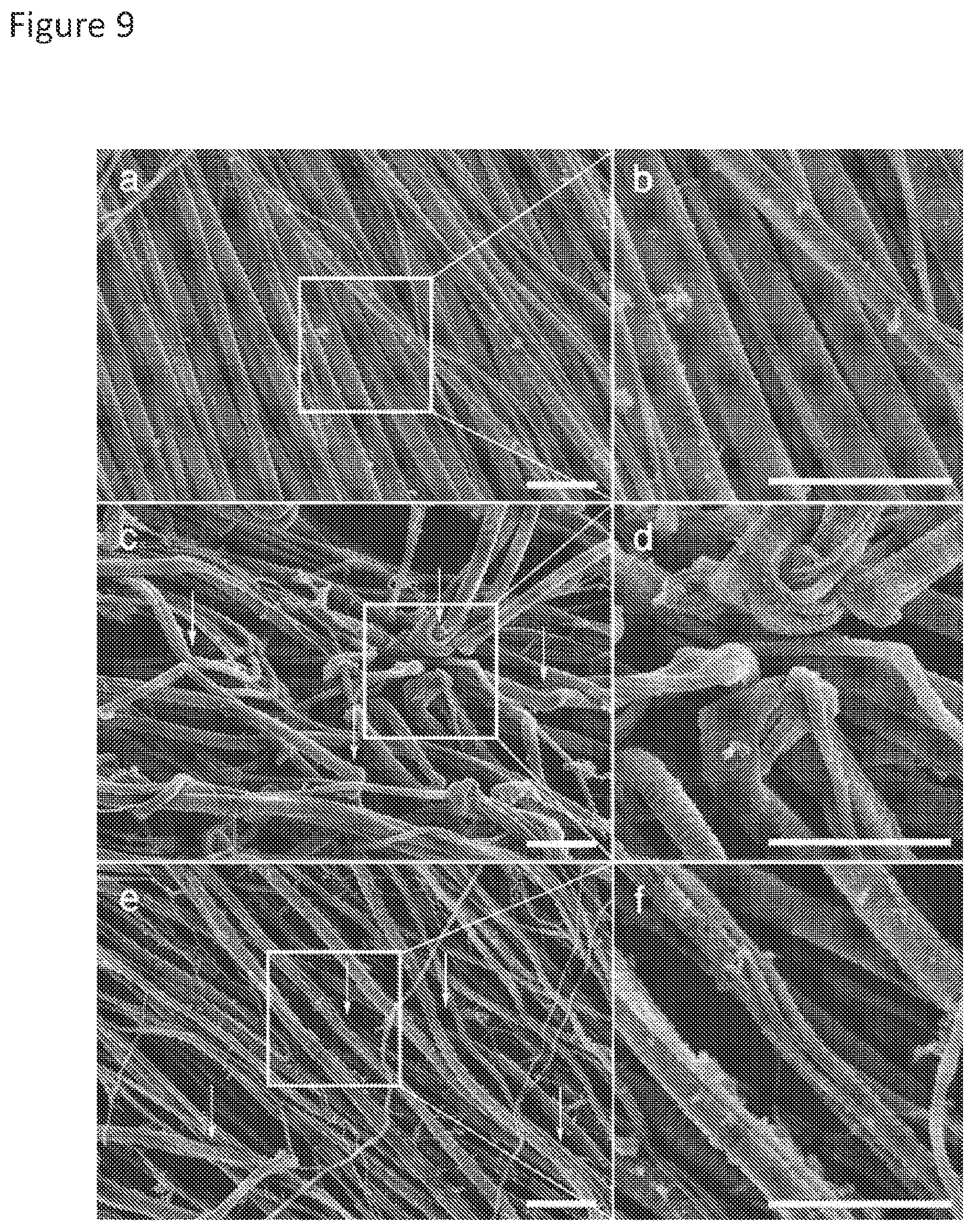 Patent US11779636 Figure 9 – Compositions for remodeling extracellular matrix and methods of use thereof