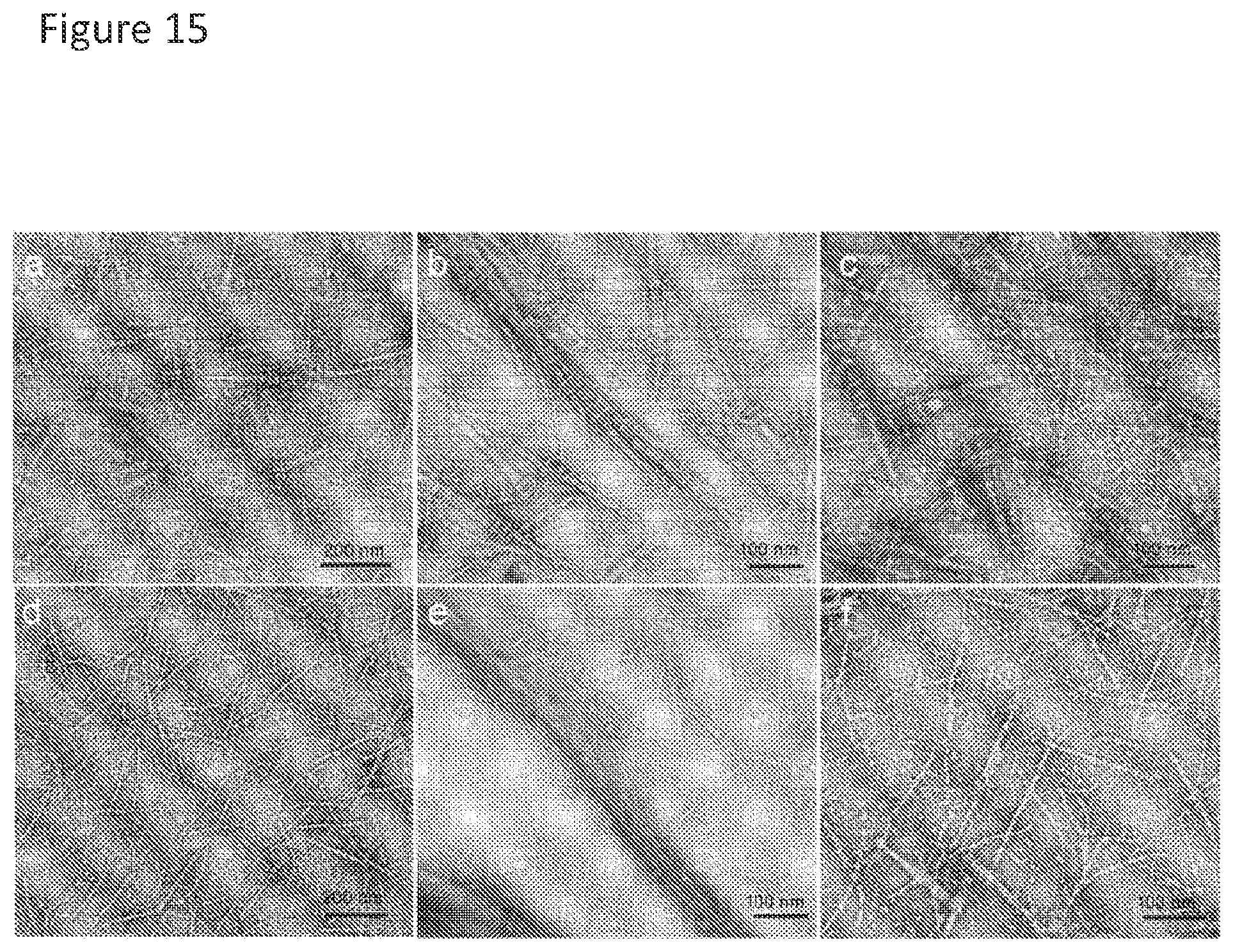 Patent US11779636 Figure 15 – Compositions for remodeling extracellular matrix and methods of use thereof