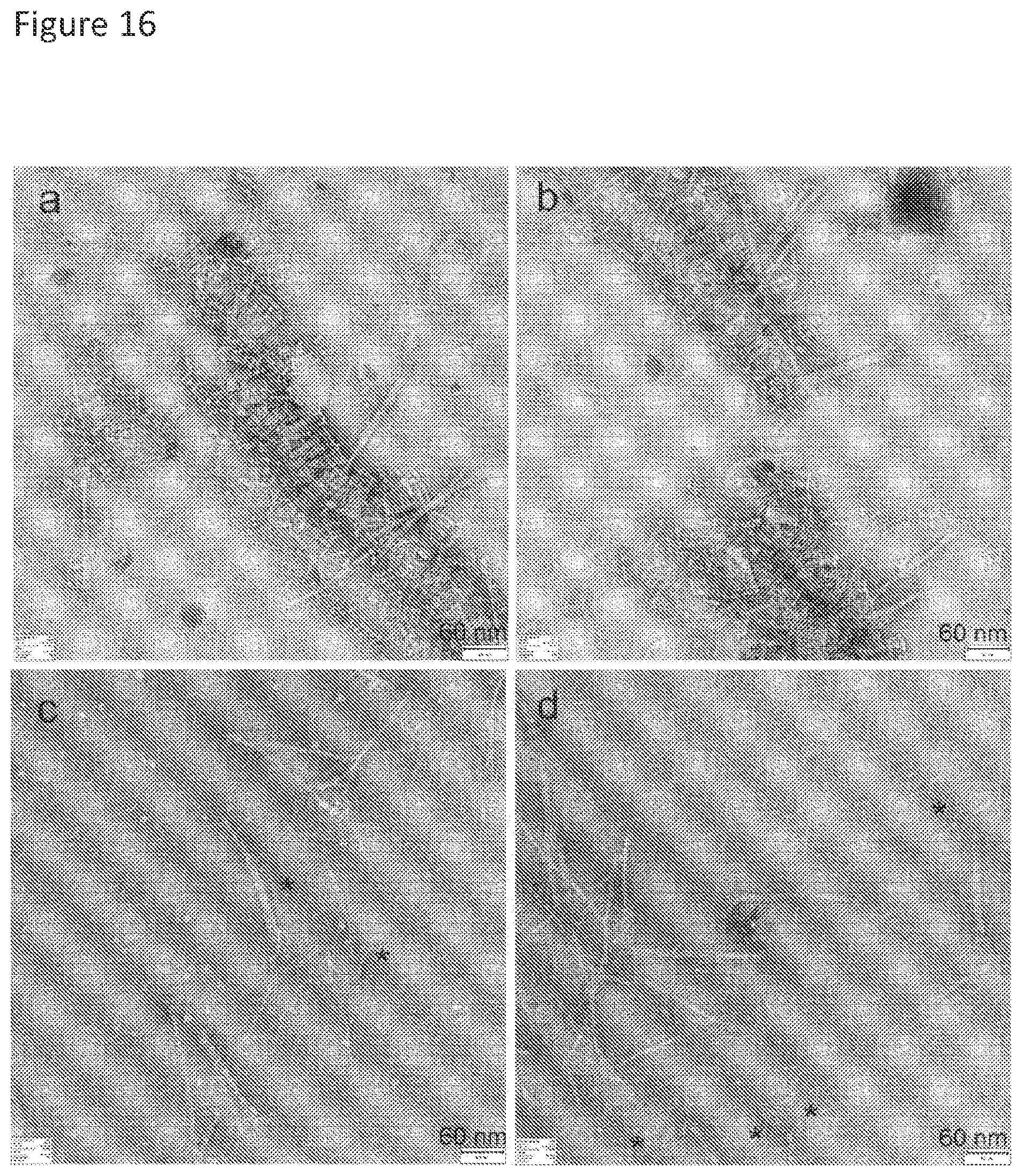 Patent US11779636 Figure 16 – Compositions for remodeling extracellular matrix and methods of use thereof