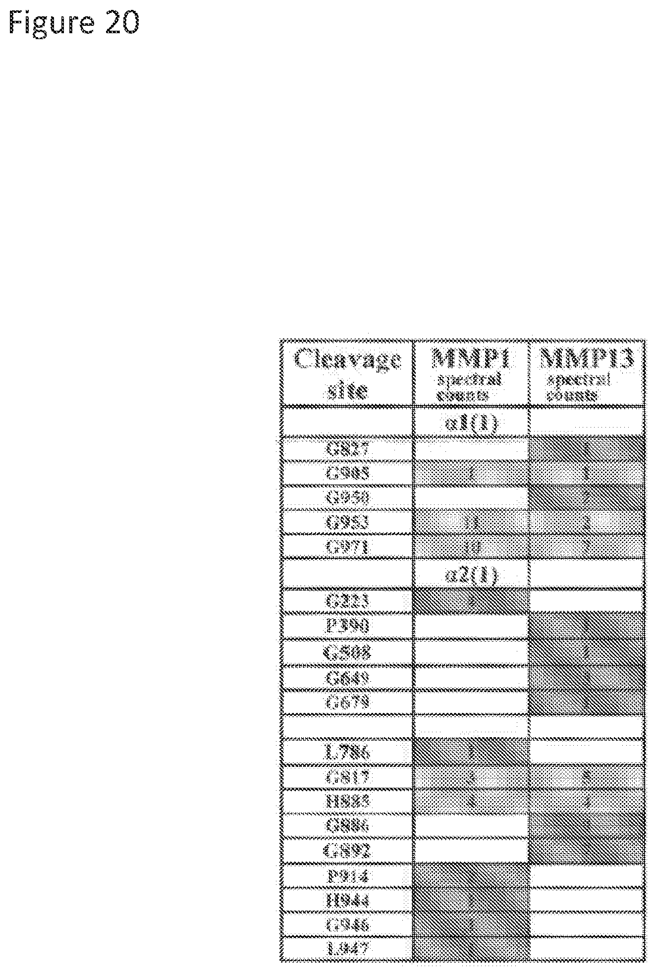 Patent US11779636 Figure 20 – Compositions for remodeling extracellular matrix and methods of use thereof