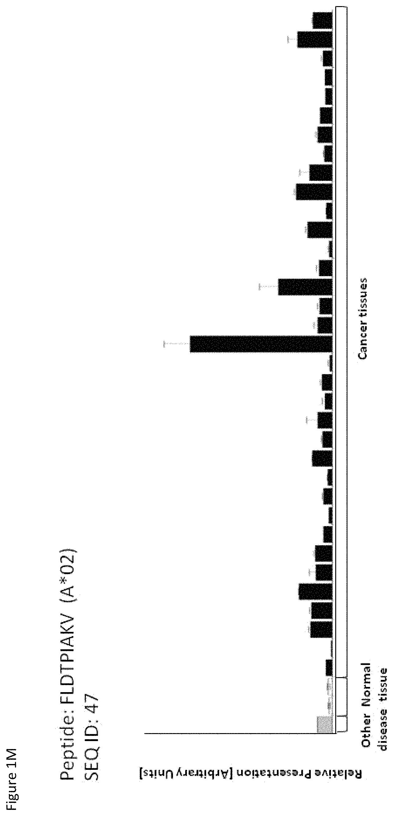 Patent US11779638 Figure 13 – Method of eliciting a CD8+ cytotoxic response in hepatocellular carcinoma patients with a population of activated T cells