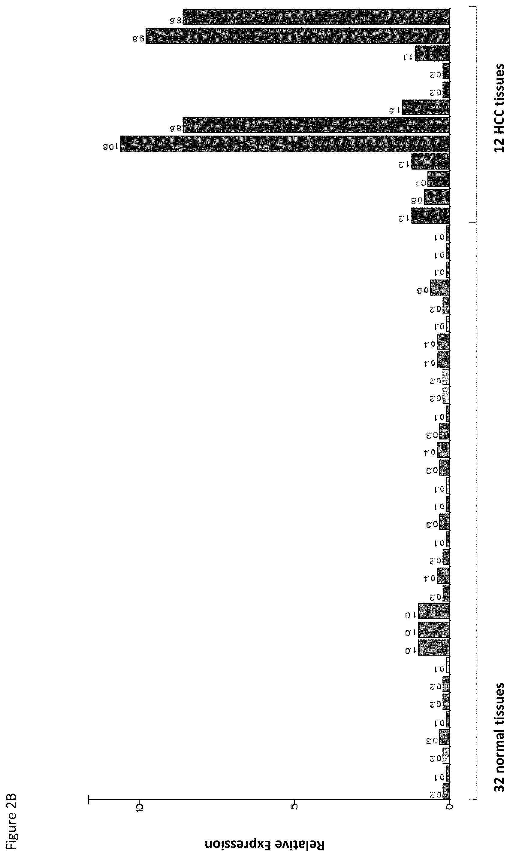 Patent US11779638 Figure 15 – Method of eliciting a CD8+ cytotoxic response in hepatocellular carcinoma patients with a population of activated T cells
