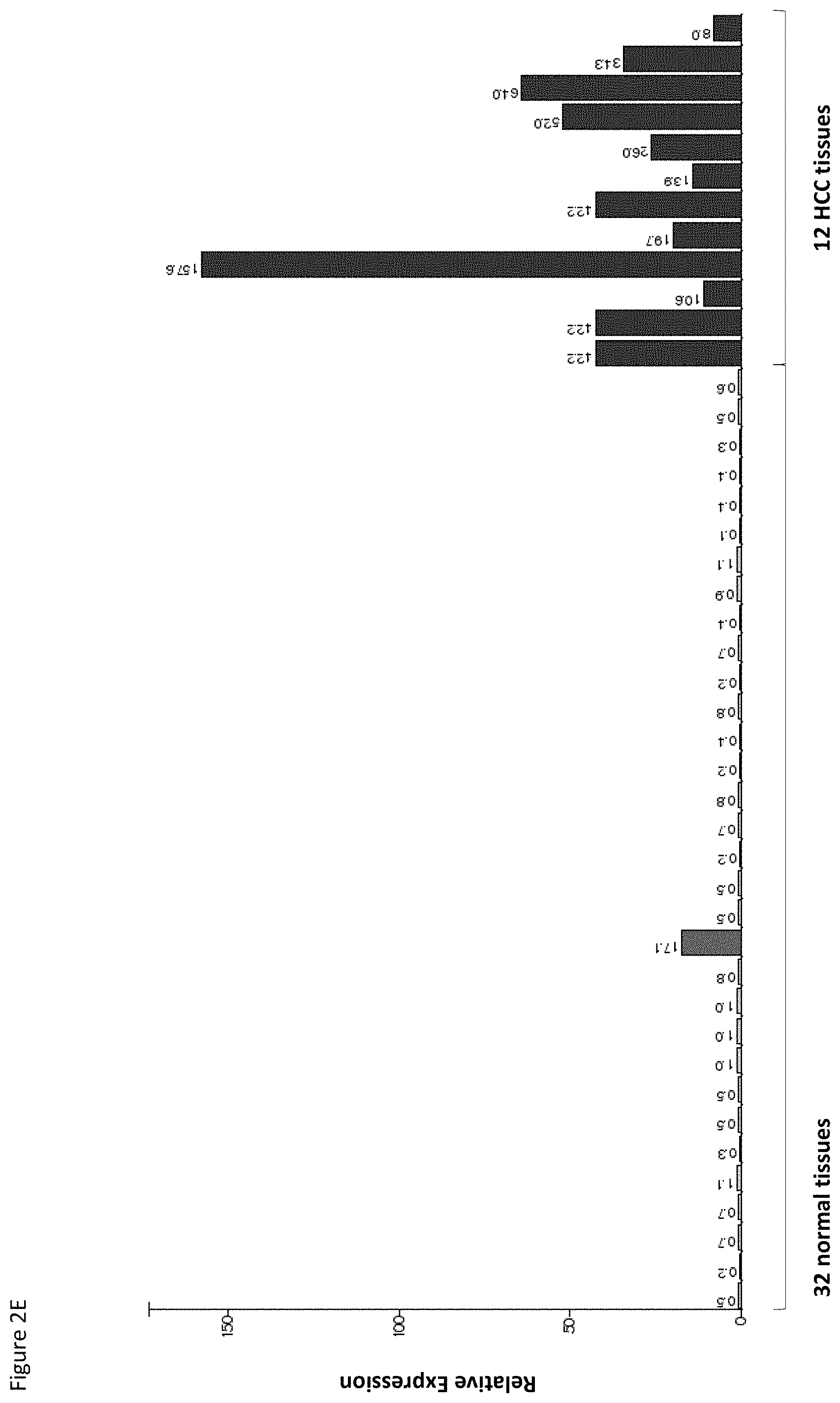 Patent US11779638 Figure 18 – Method of eliciting a CD8+ cytotoxic response in hepatocellular carcinoma patients with a population of activated T cells