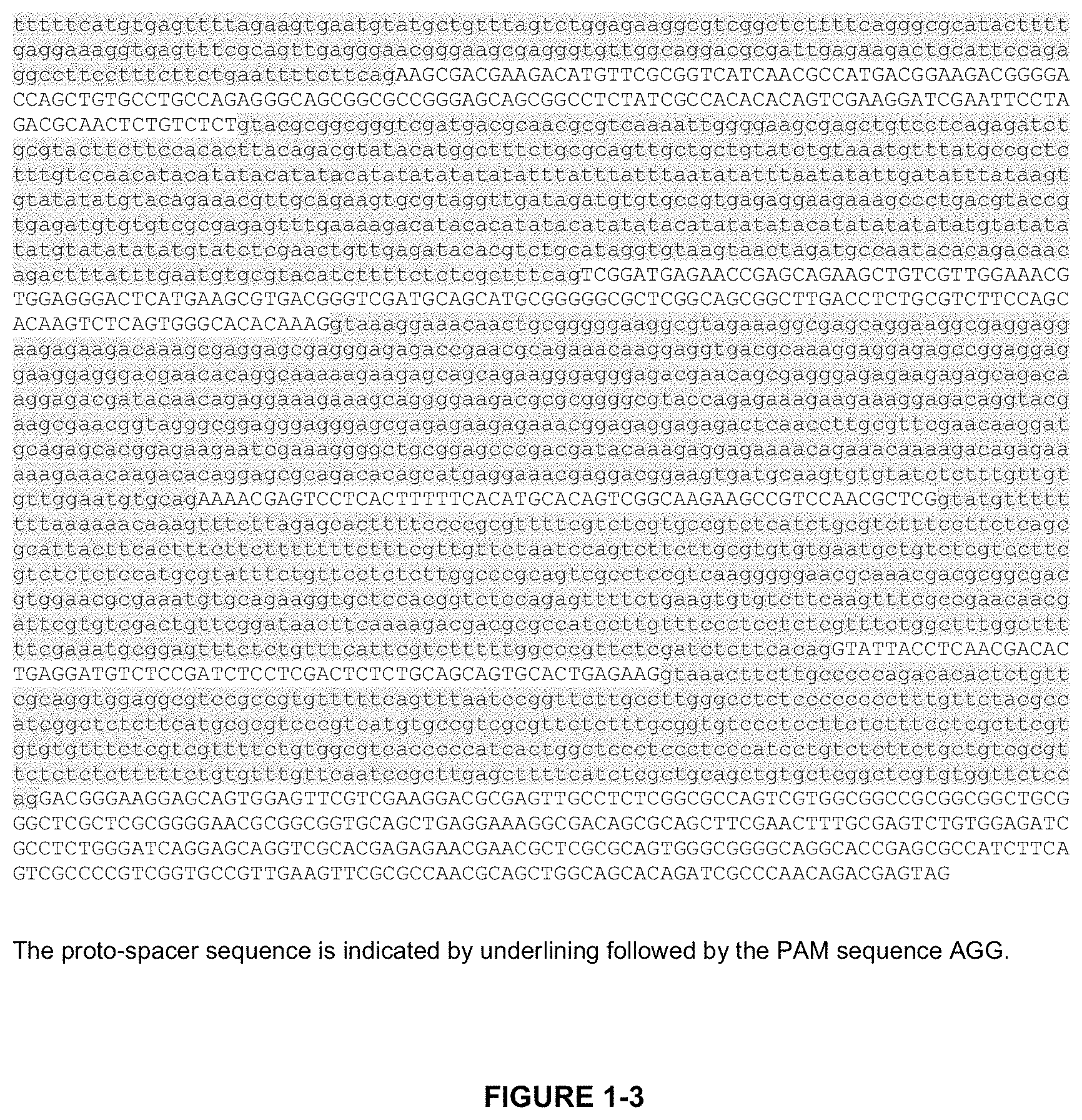 Patent US11779639 Figure 3 – Parasite vaccine