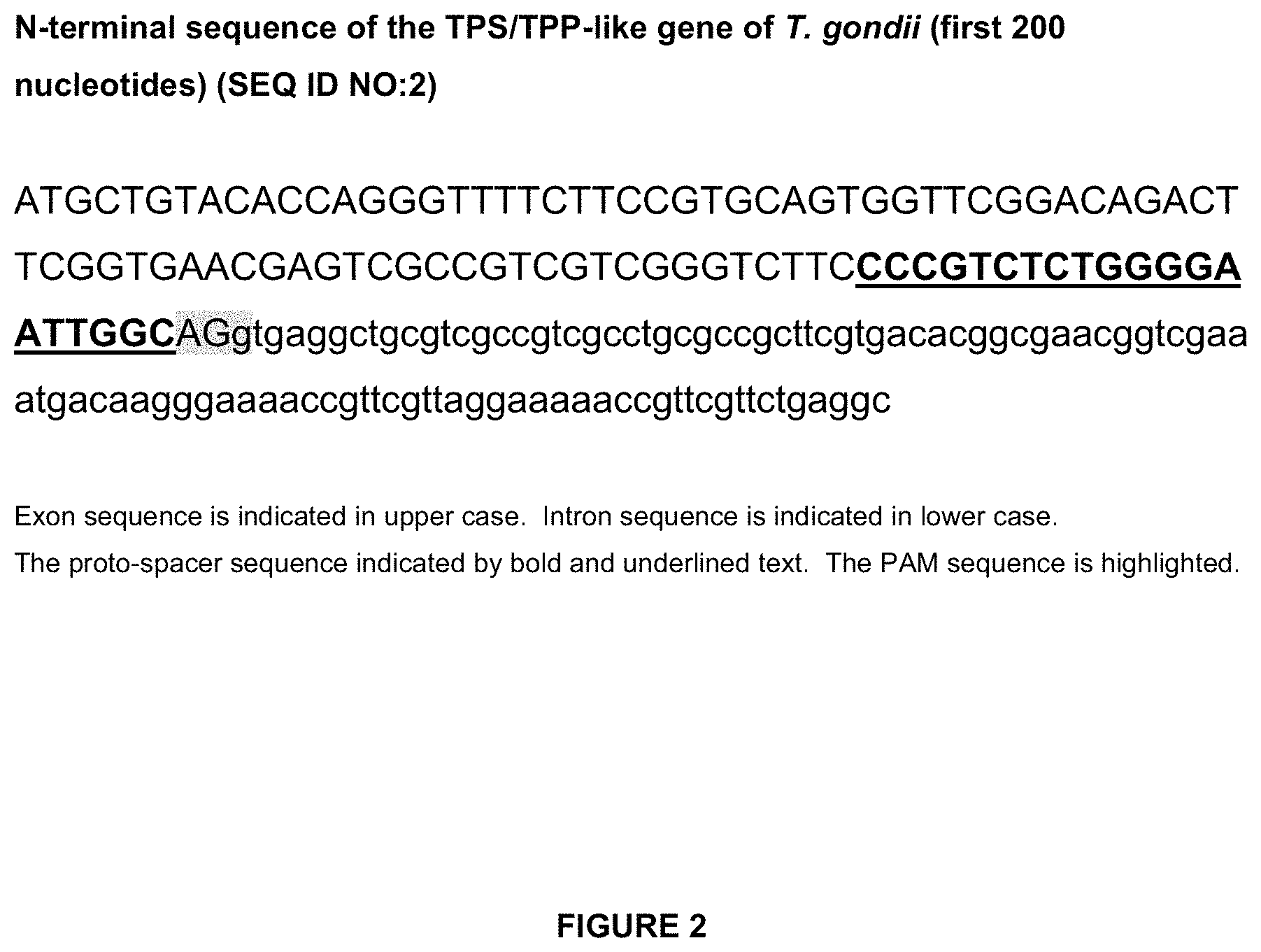 Patent US11779639 Figure 4 – Parasite vaccine