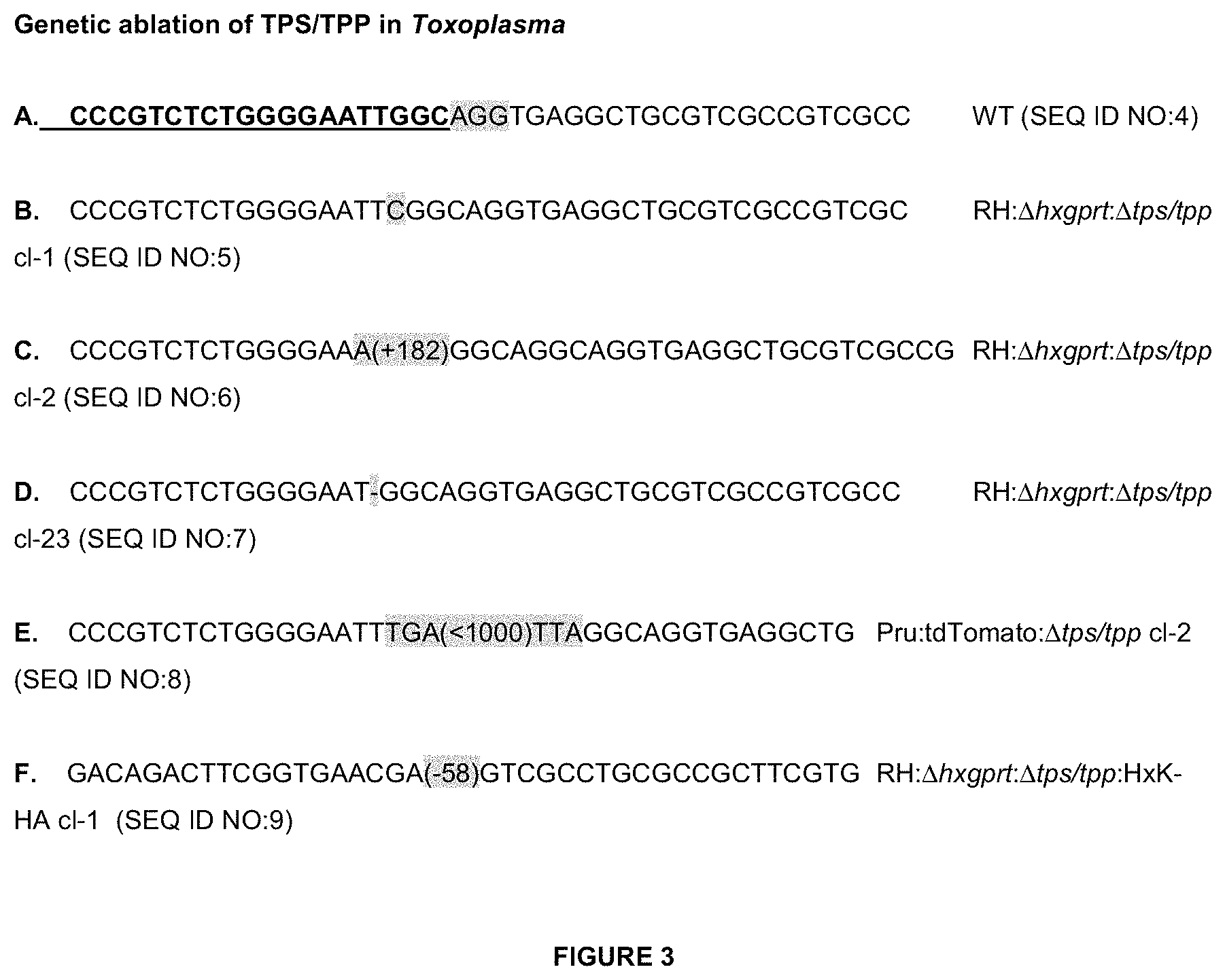 Patent US11779639 Figure 5 – Parasite vaccine