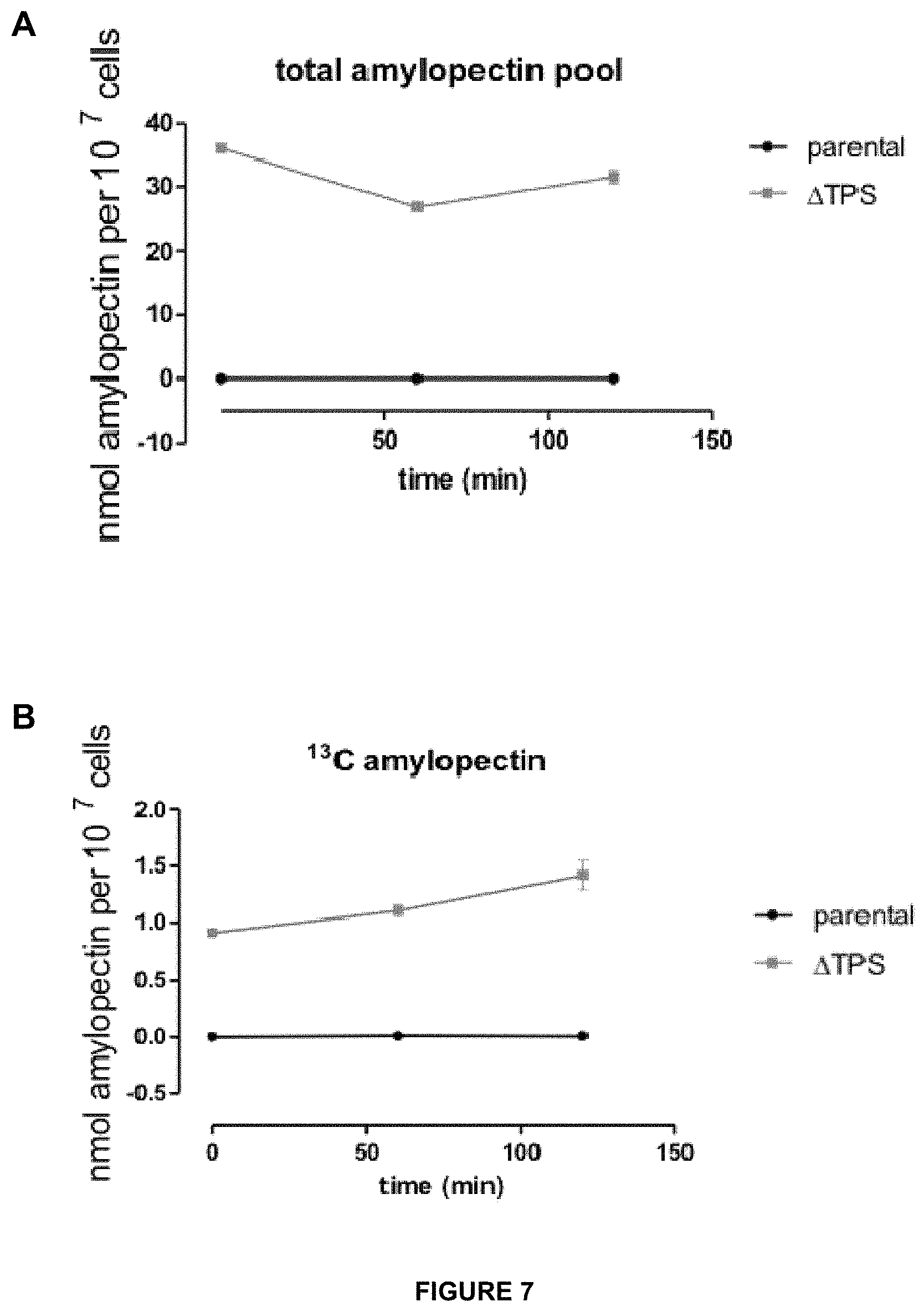 Patent US11779639 Figure 9 – Parasite vaccine