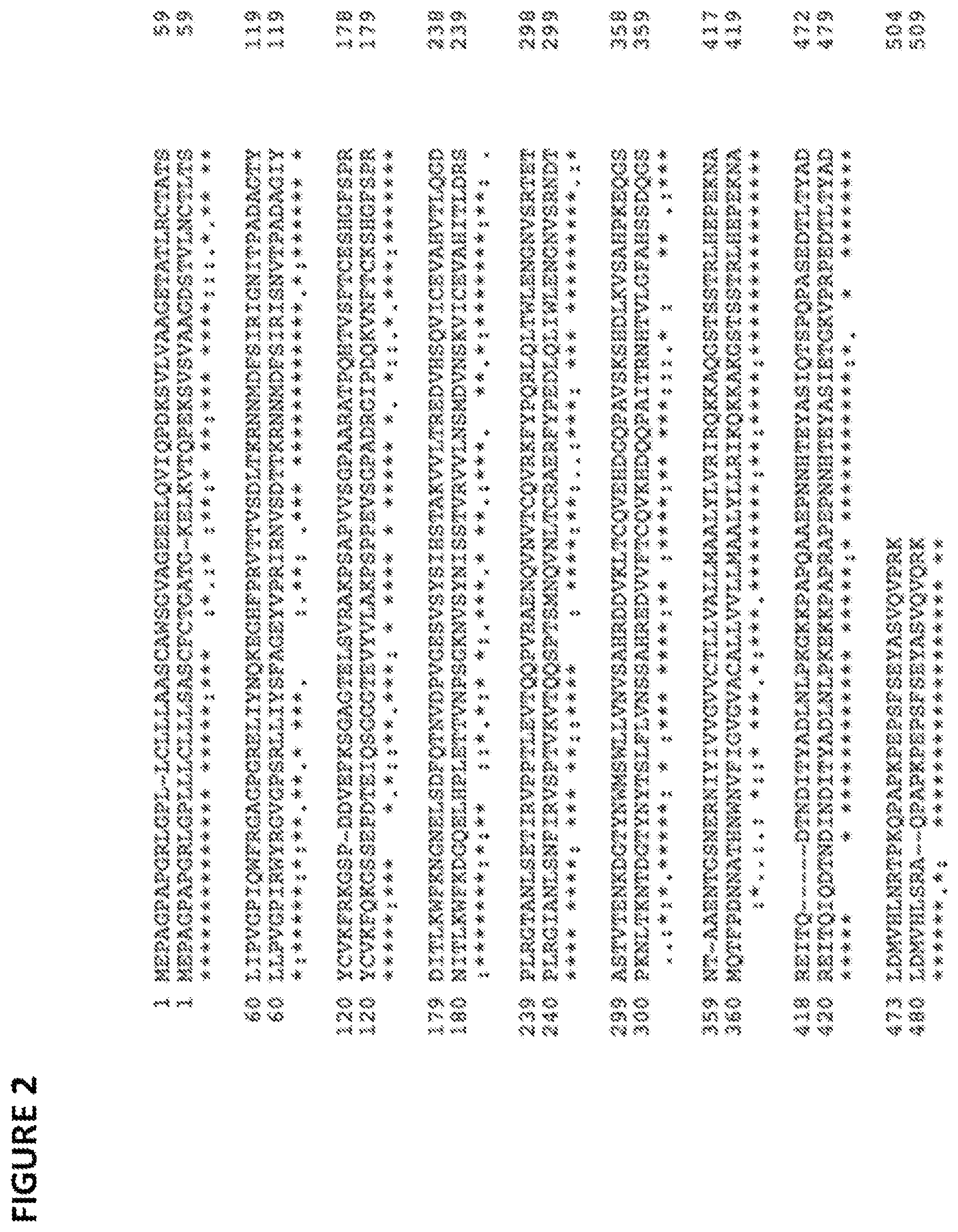 Patent US11779642 Figure 3 – Anti-SIRP-alpha antibodies and methods of use thereof