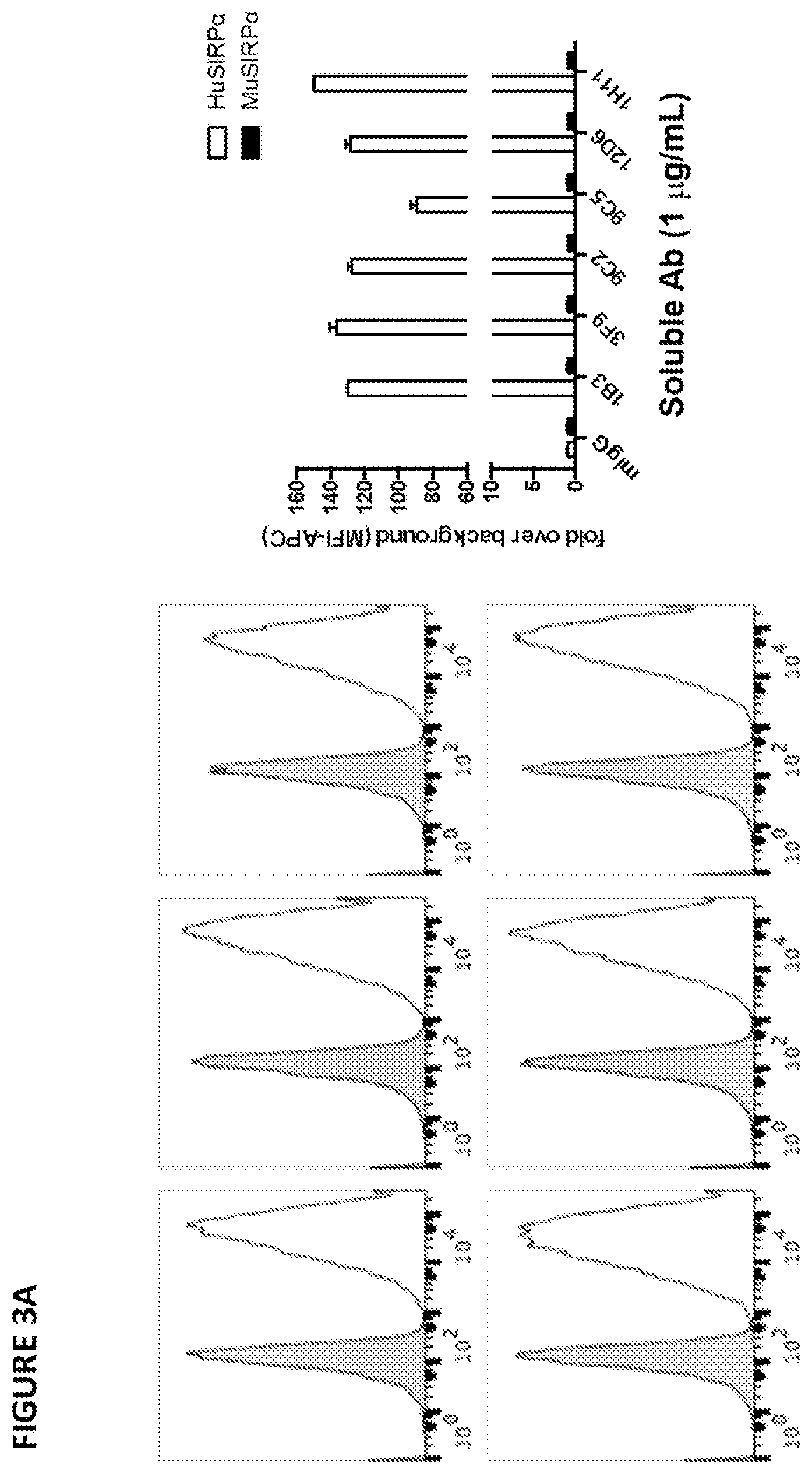 Patent US11779642 Figure 4 – Anti-SIRP-alpha antibodies and methods of use thereof