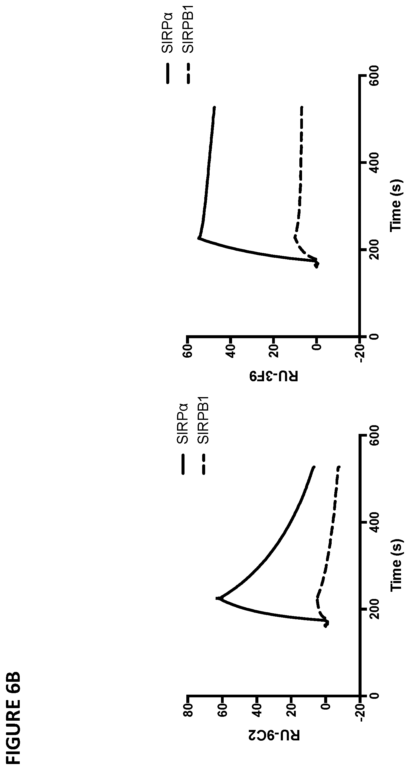 Patent US11779642 Figure 12 – Anti-SIRP-alpha antibodies and methods of use thereof