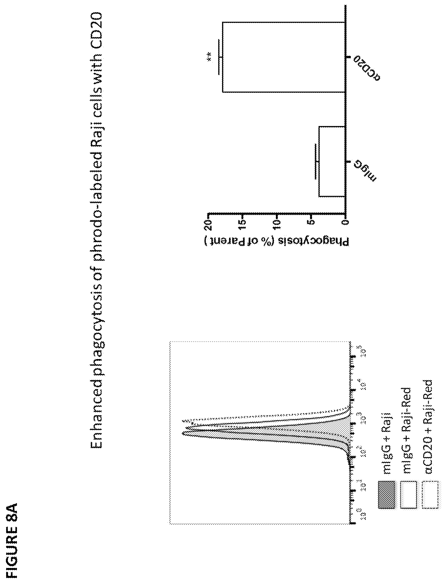 Patent US11779642 Figure 15 – Anti-SIRP-alpha antibodies and methods of use thereof