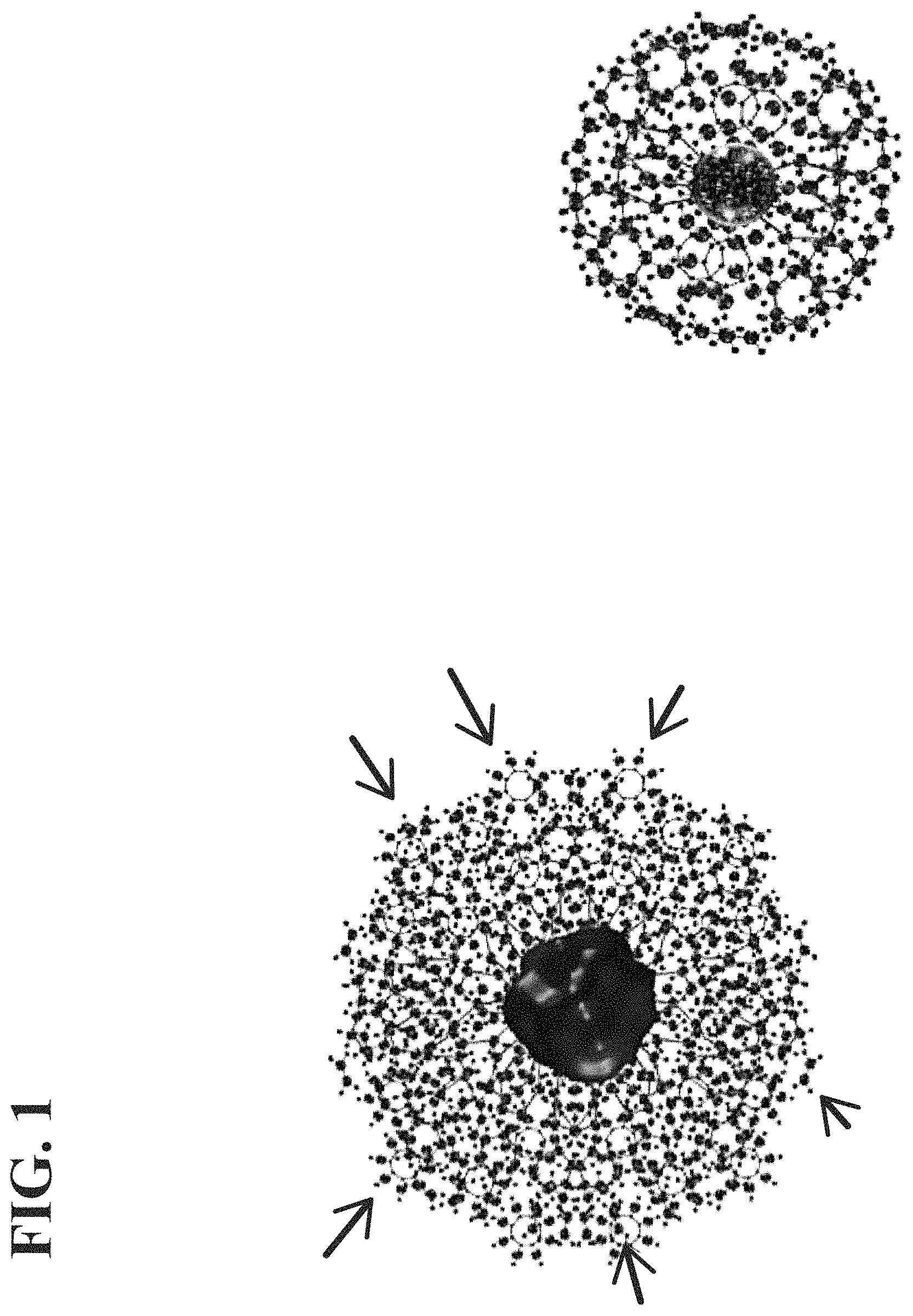 Patent US11779645 Figure 1 – Compositions comprising water that exhibits increased cell permeability and methods of use thereof