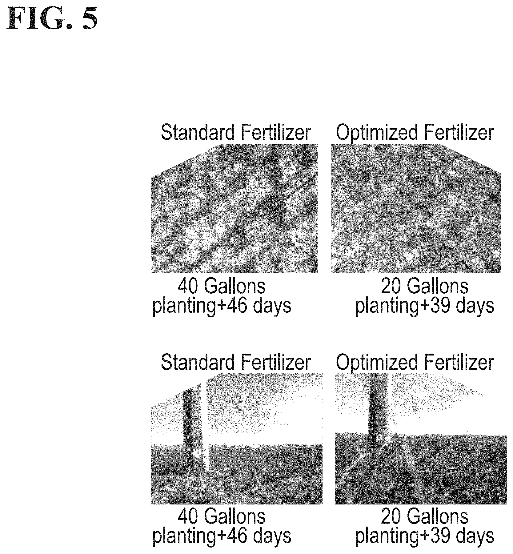 Patent US11779645 Figure 5 – Compositions comprising water that exhibits increased cell permeability and methods of use thereof