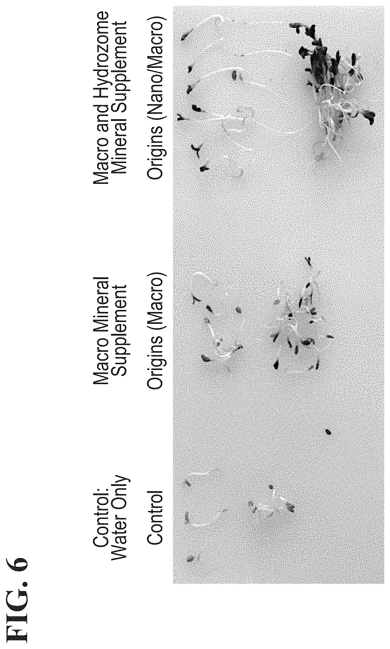 Patent US11779645 Figure 6 – Compositions comprising water that exhibits increased cell permeability and methods of use thereof