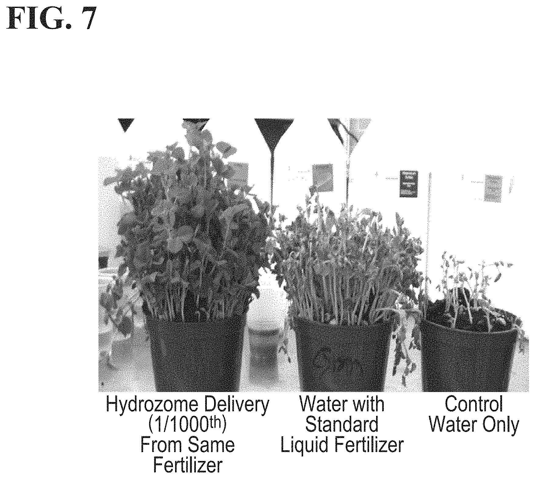 Patent US11779645 Figure 7 – Compositions comprising water that exhibits increased cell permeability and methods of use thereof