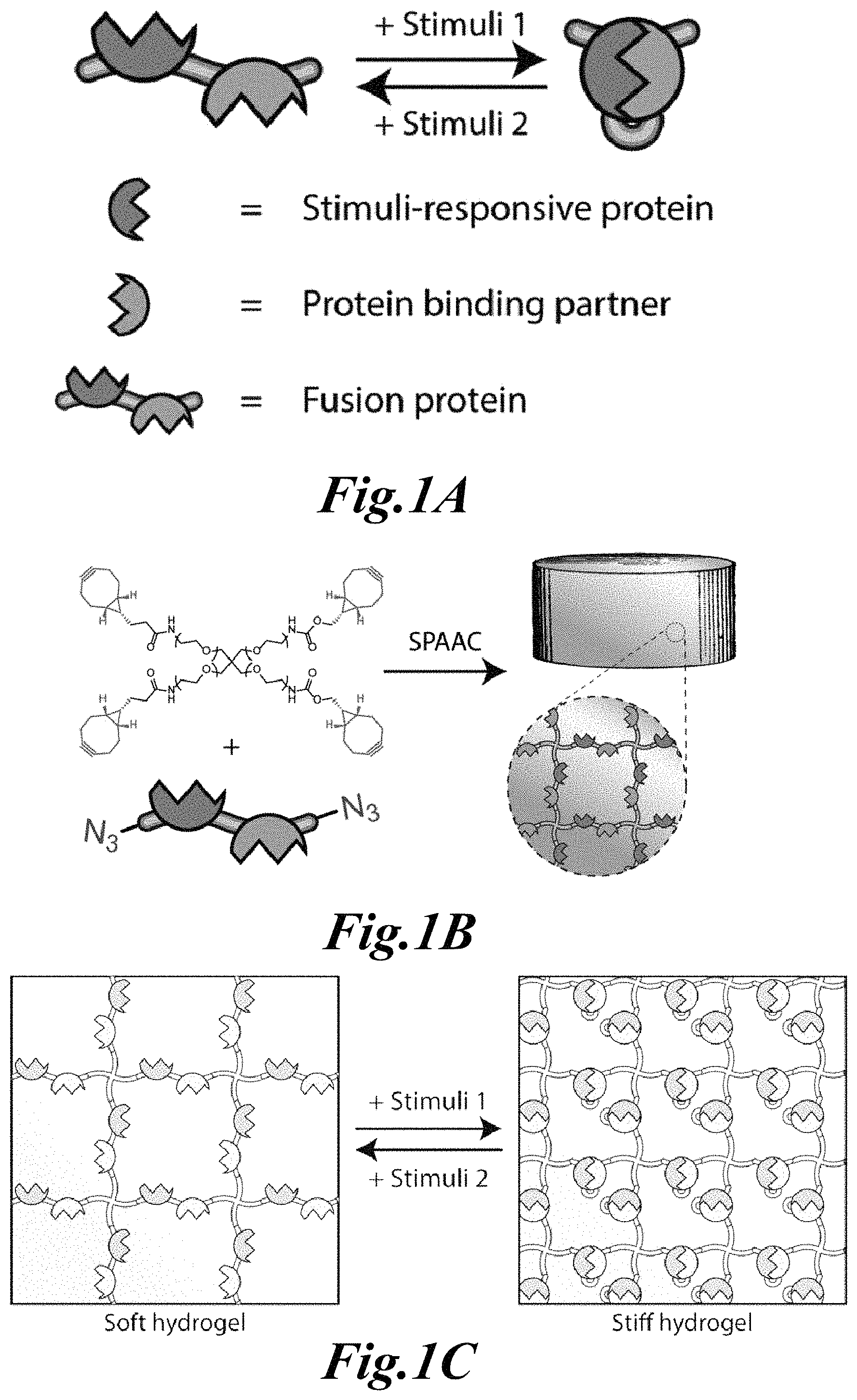 Patent US11779646 Figure 1 – Dynamic user-programmable materials including stimuli-responsive proteins