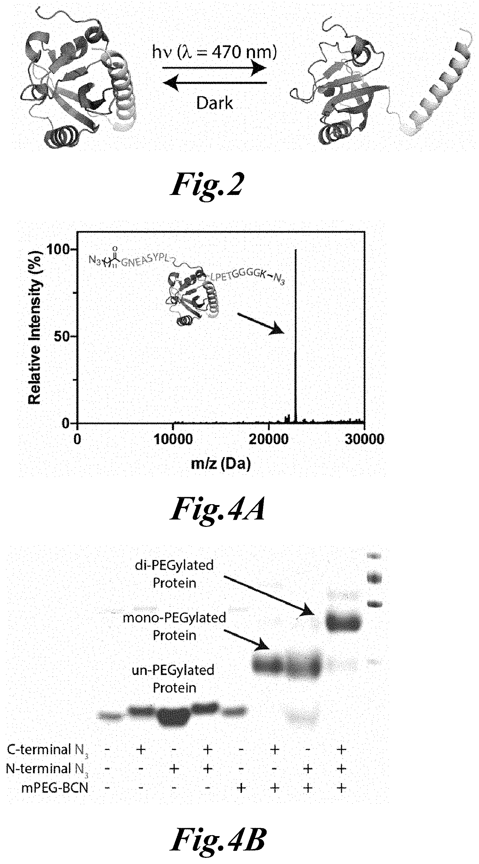 Patent US11779646 Figure 2 – Dynamic user-programmable materials including stimuli-responsive proteins
