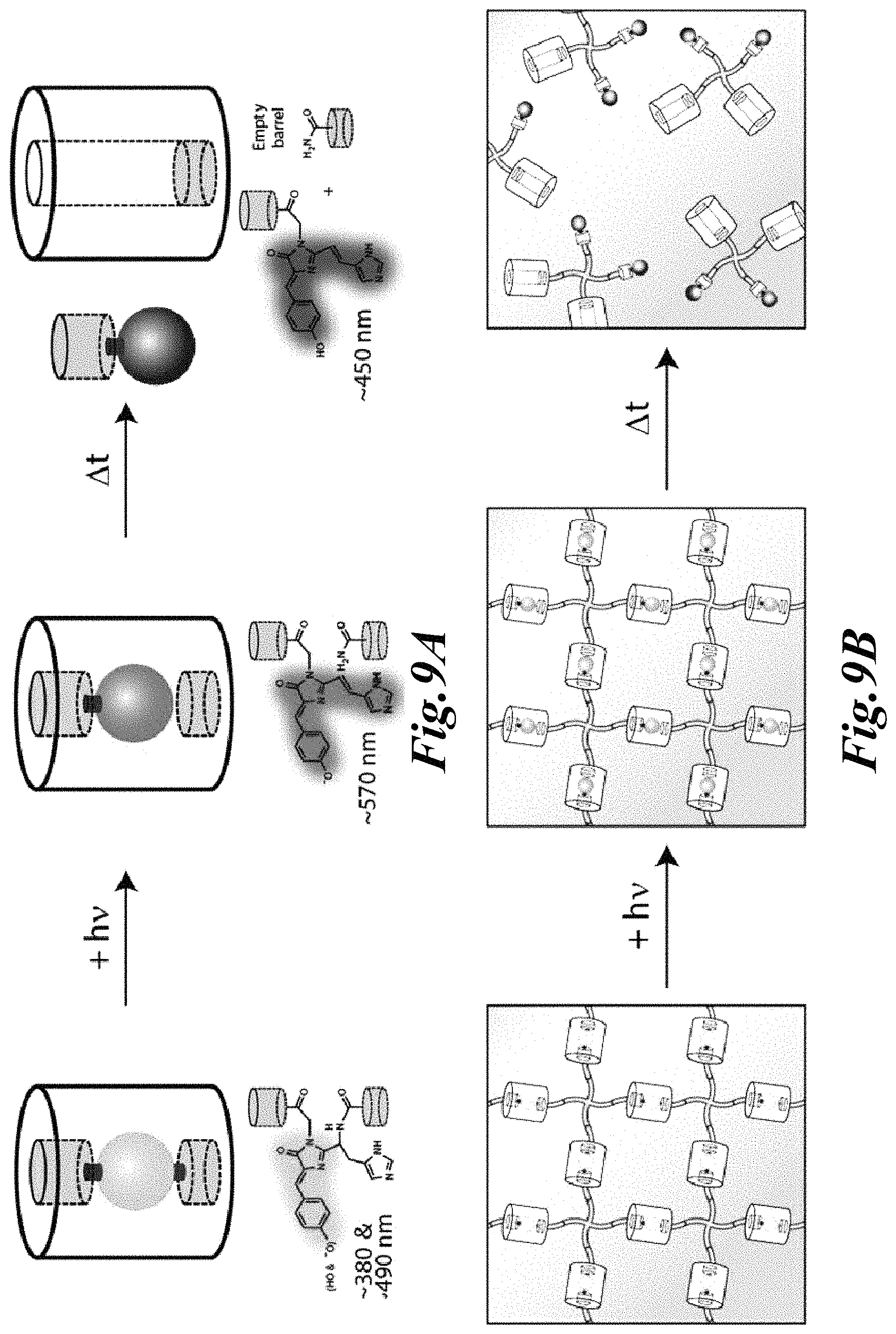 Patent US11779646 Figure 7 – Dynamic user-programmable materials including stimuli-responsive proteins