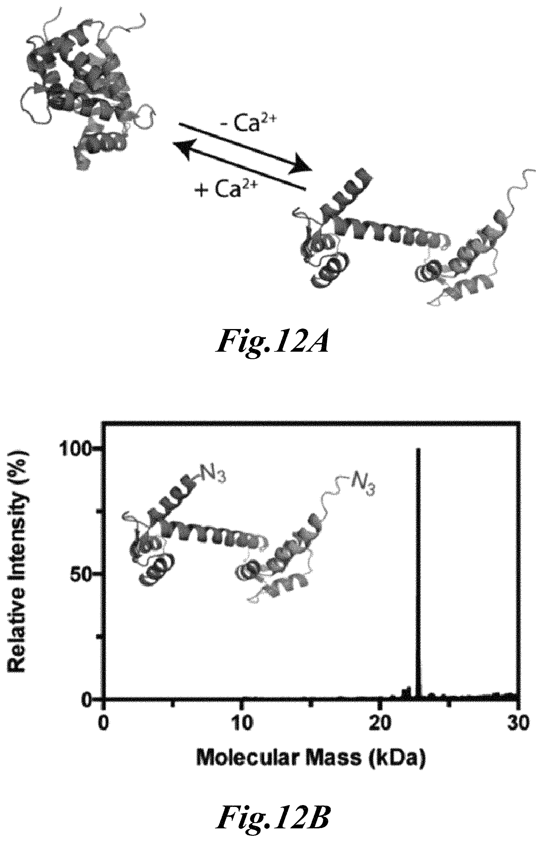 Patent US11779646 Figure 10 – Dynamic user-programmable materials including stimuli-responsive proteins
