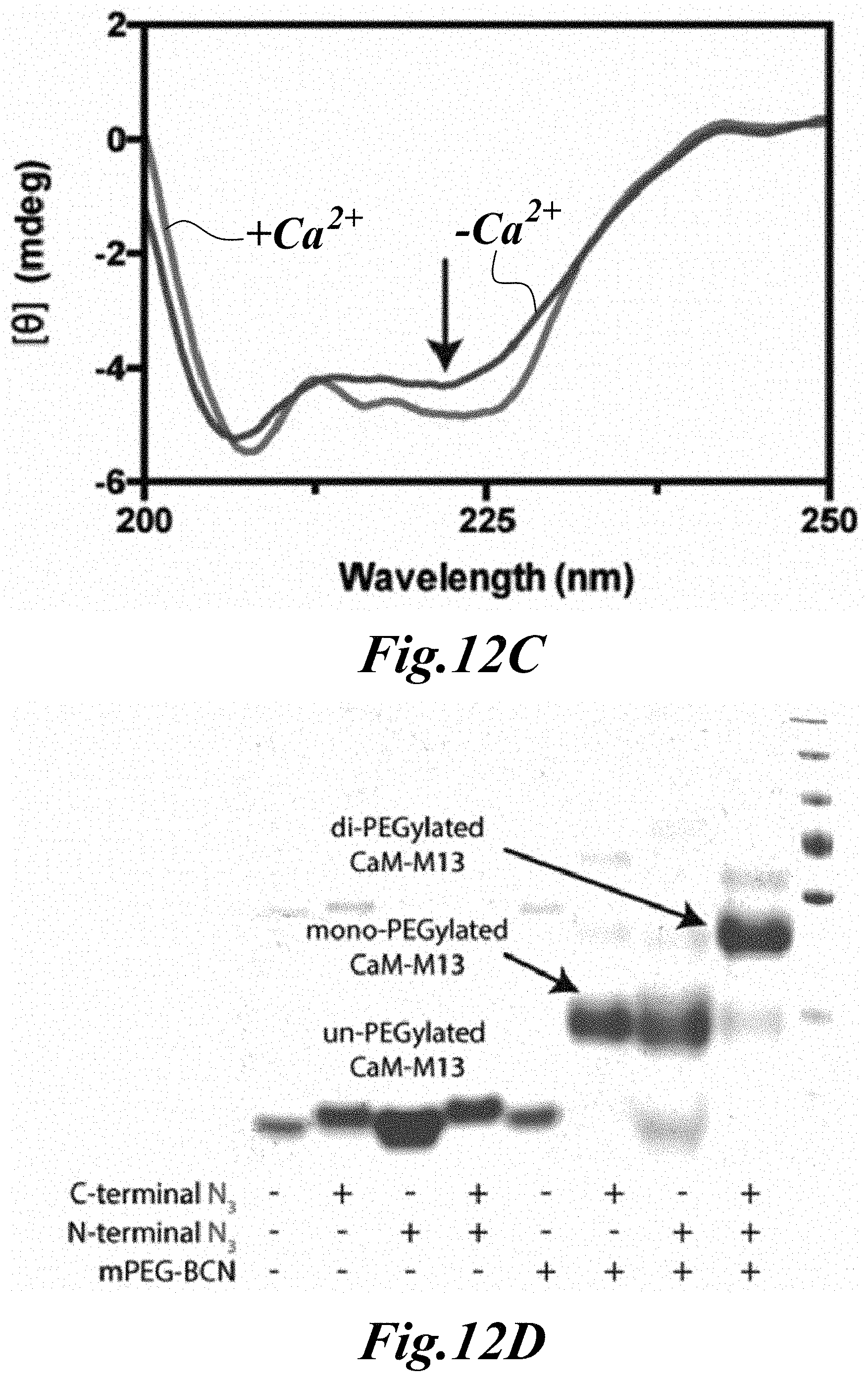 Patent US11779646 Figure 11 – Dynamic user-programmable materials including stimuli-responsive proteins