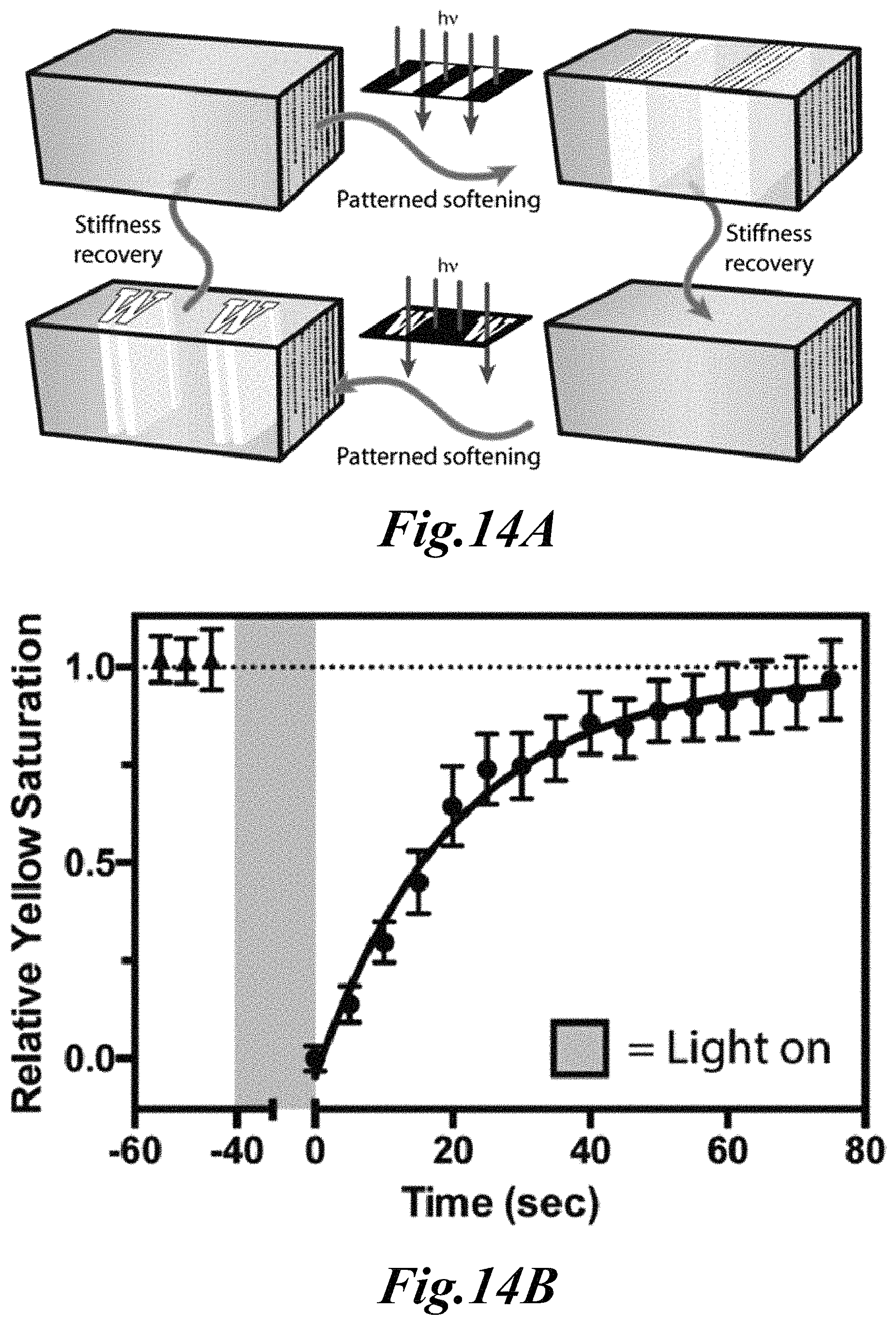 Patent US11779646 Figure 16 – Dynamic user-programmable materials including stimuli-responsive proteins