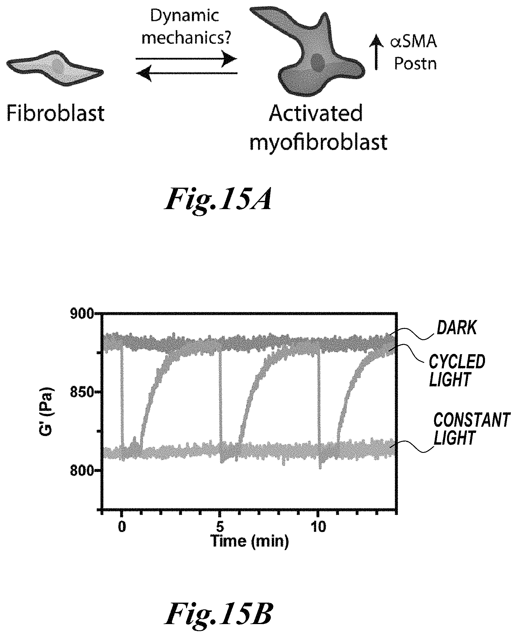 Patent US11779646 Figure 17 – Dynamic user-programmable materials including stimuli-responsive proteins