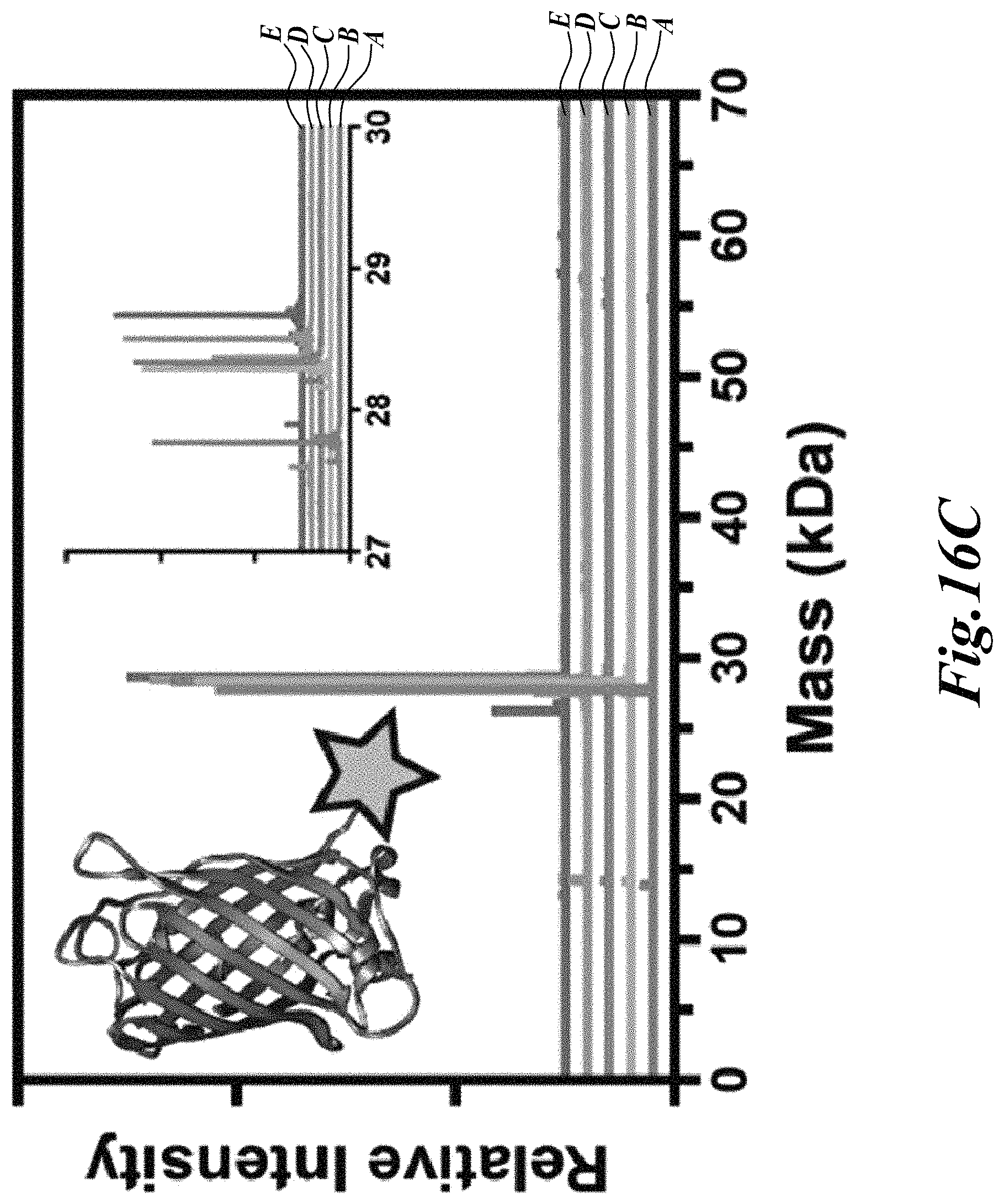 Patent US11779646 Figure 20 – Dynamic user-programmable materials including stimuli-responsive proteins