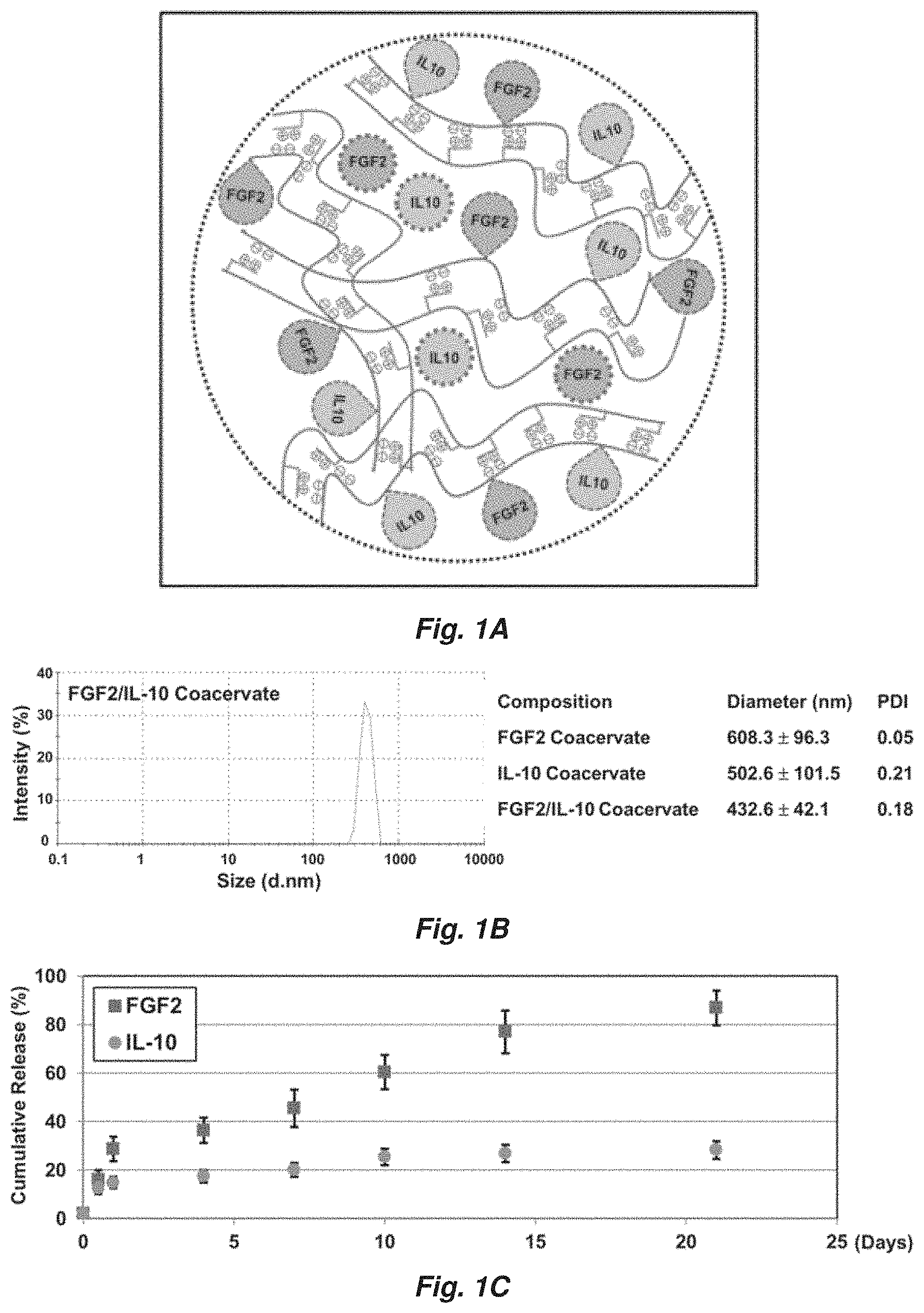Patent US11779647 Figure 1 – Complex coacervate for controlled release and related methods