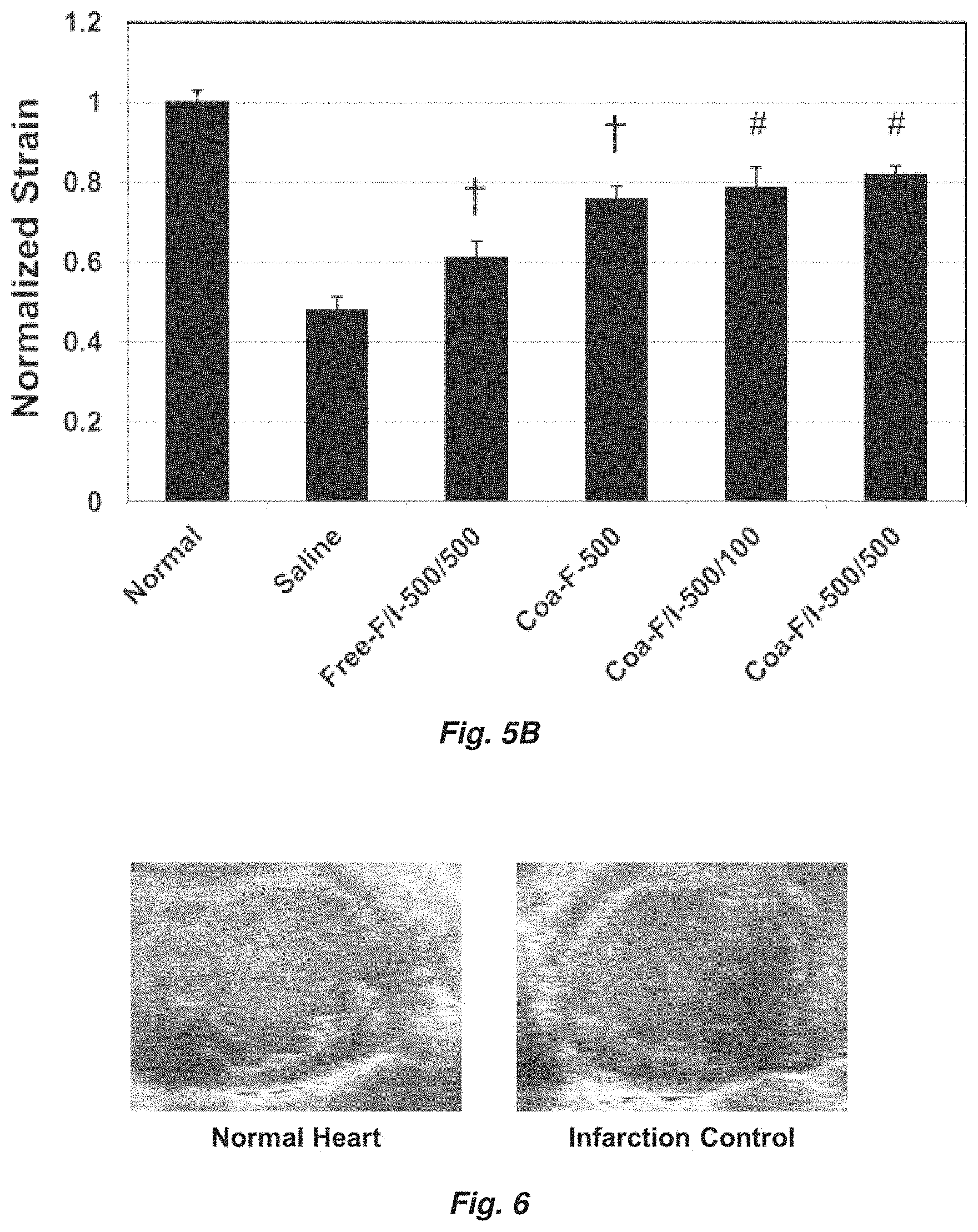 Patent US11779647 Figure 8 – Complex coacervate for controlled release and related methods