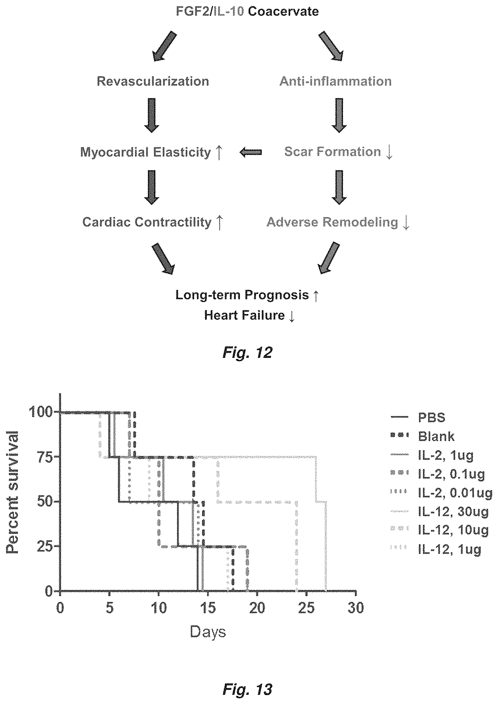 Patent US11779647 Figure 14 – Complex coacervate for controlled release and related methods