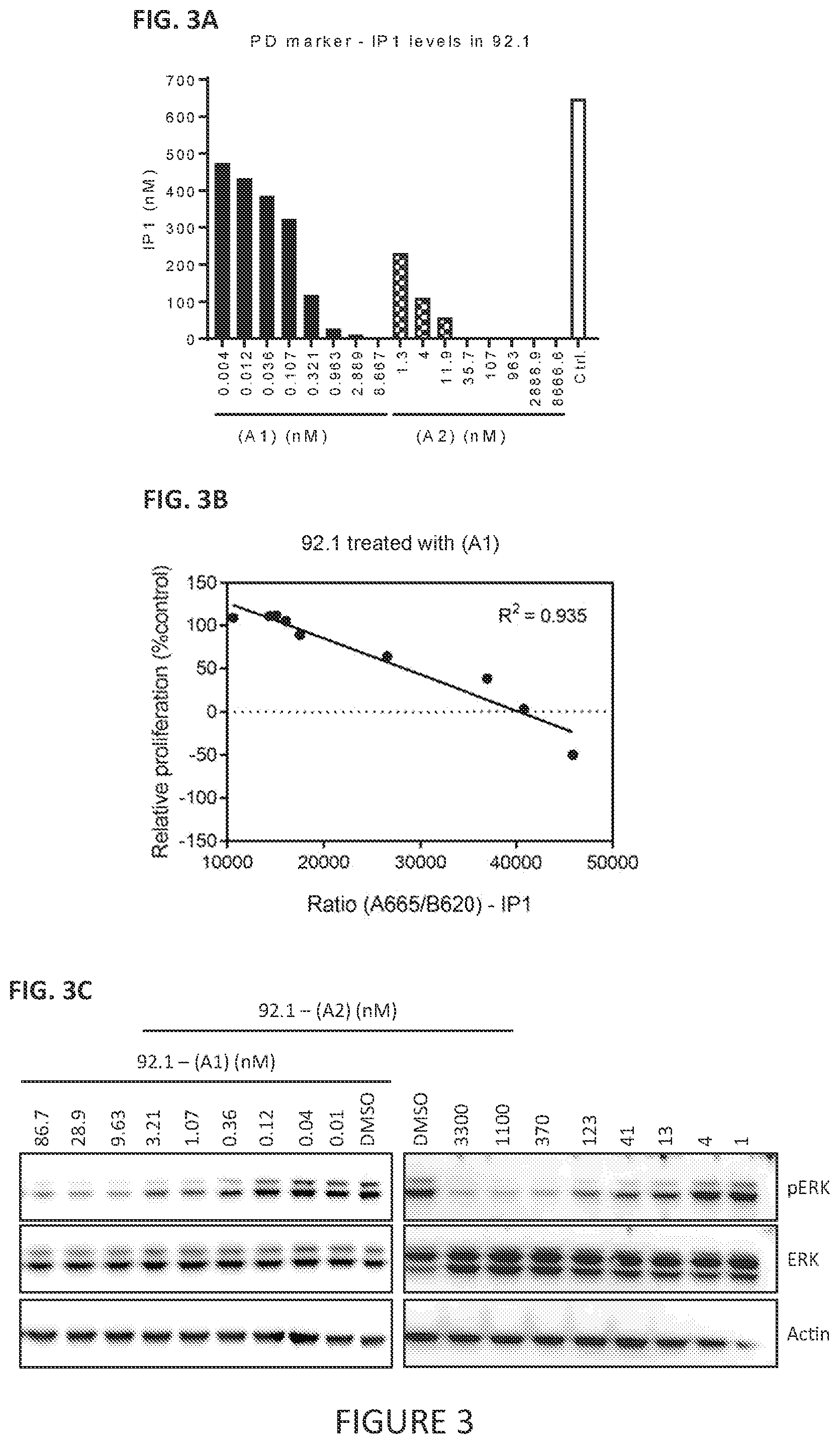 Patent US11779649 Figure 2 – Antibodies to PMEL17 and conjugates thereof