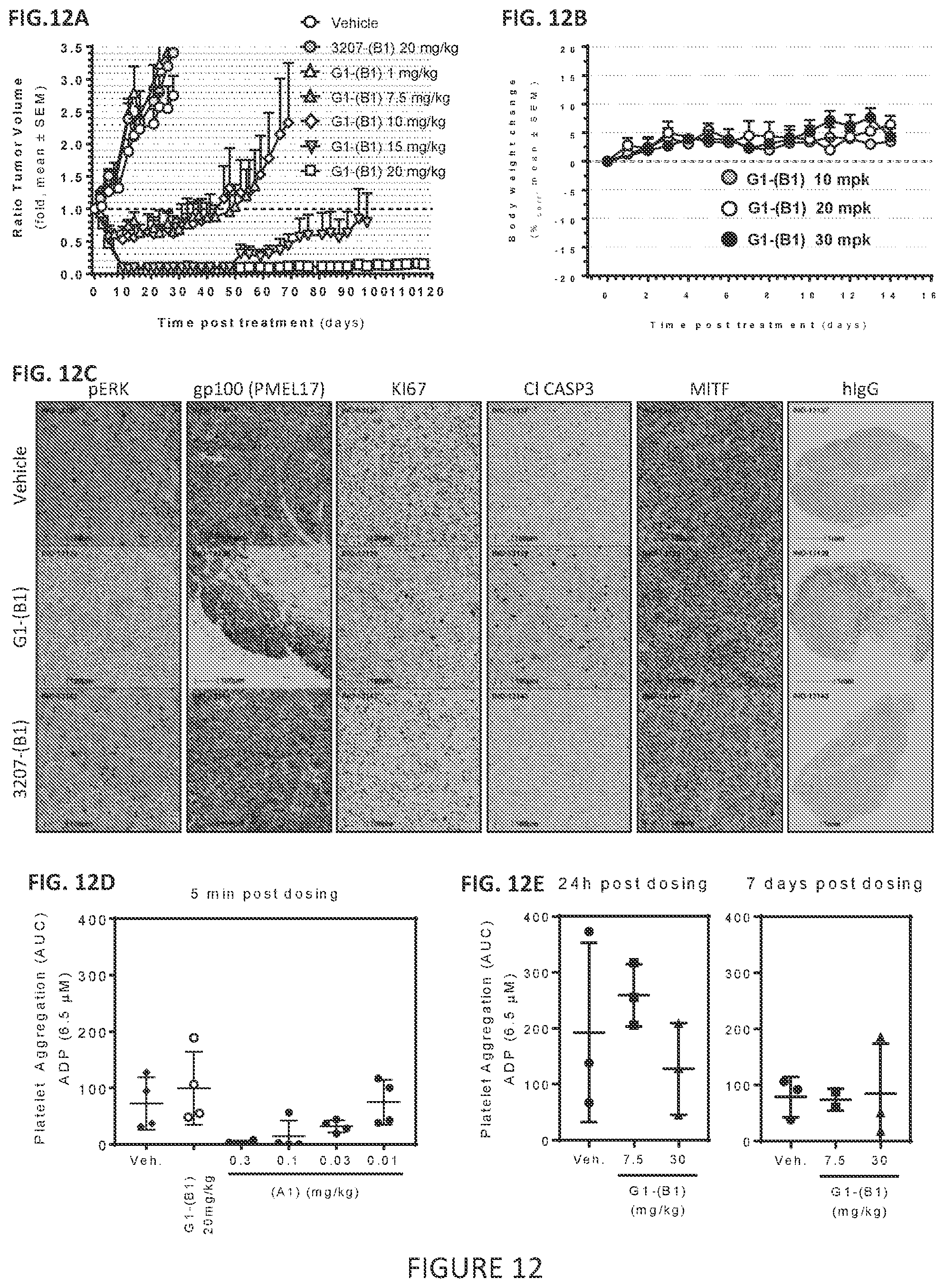 Patent US11779649 Figure 7 – Antibodies to PMEL17 and conjugates thereof