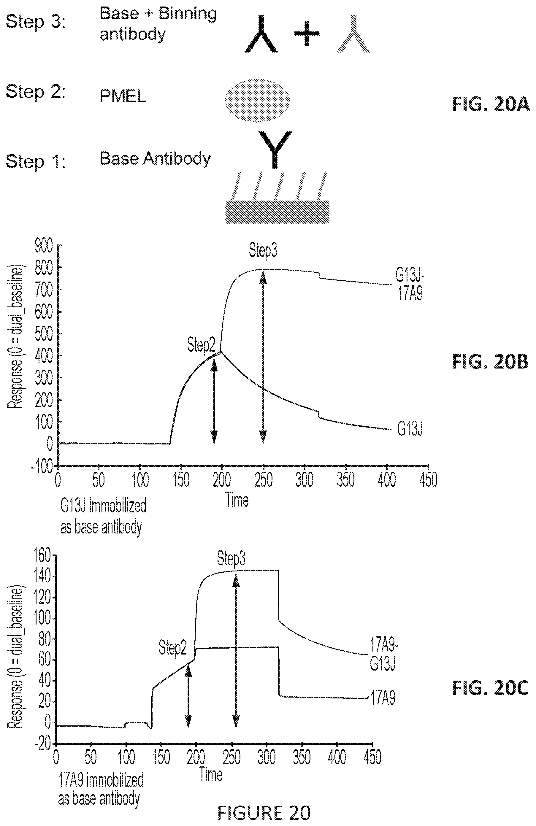 Patent US11779649 Figure 16 – Antibodies to PMEL17 and conjugates thereof