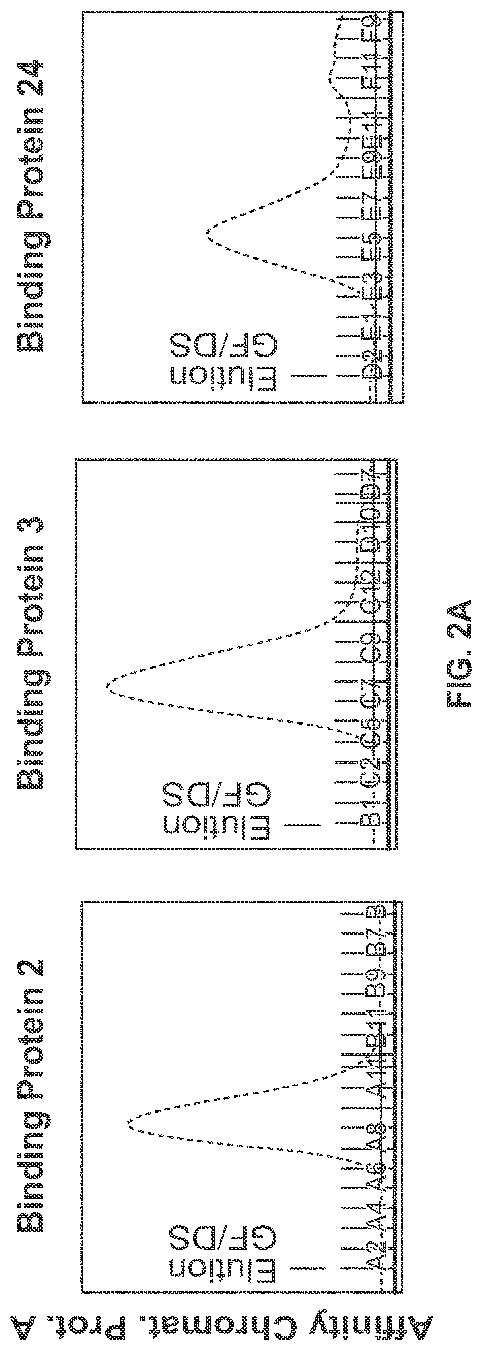 Patent US11779651 Figure 2 – Bivalent, bispecific binding proteins for prevention or treatment of HIV infection
