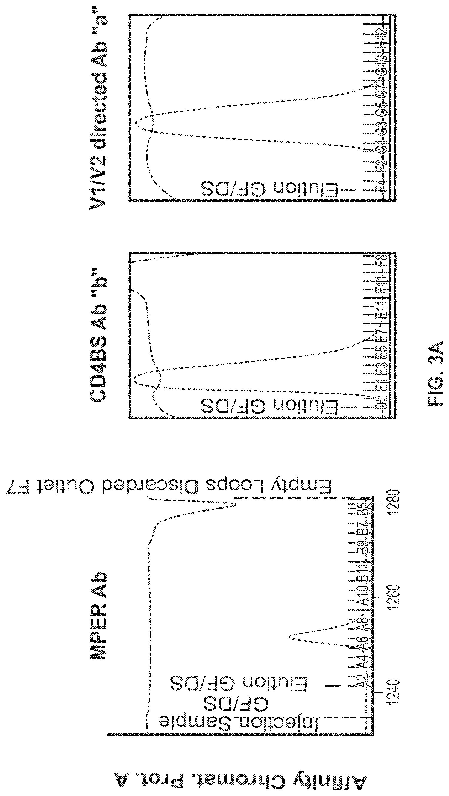 Patent US11779651 Figure 4 – Bivalent, bispecific binding proteins for prevention or treatment of HIV infection