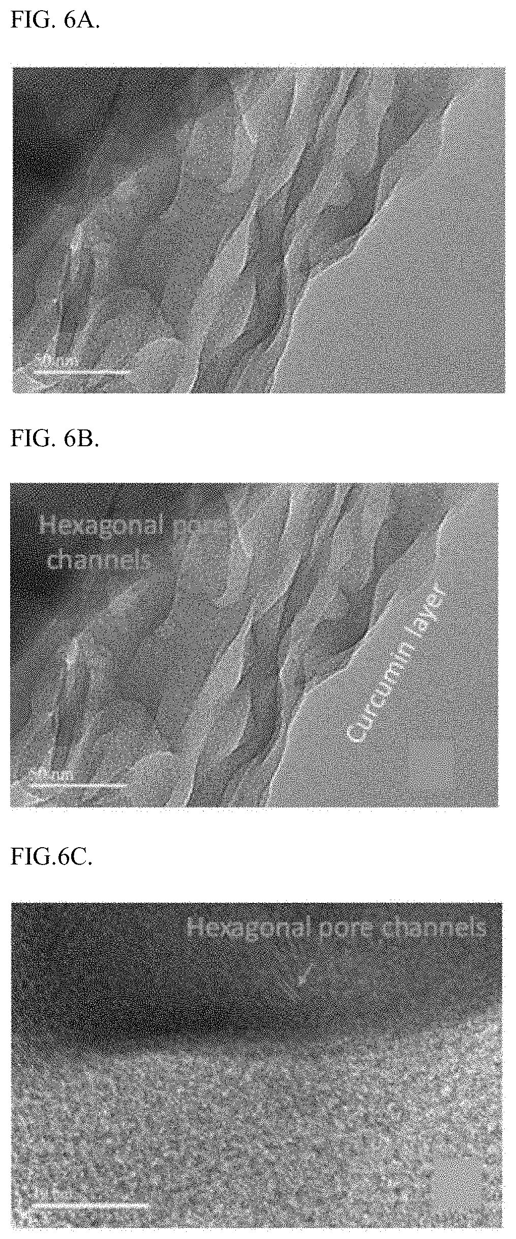 Patent US11779652 Figure 6 – Porous silicate/magnetic ferrite nanocarrier for combination anti-cancer therapeutic and antioxidant delivery