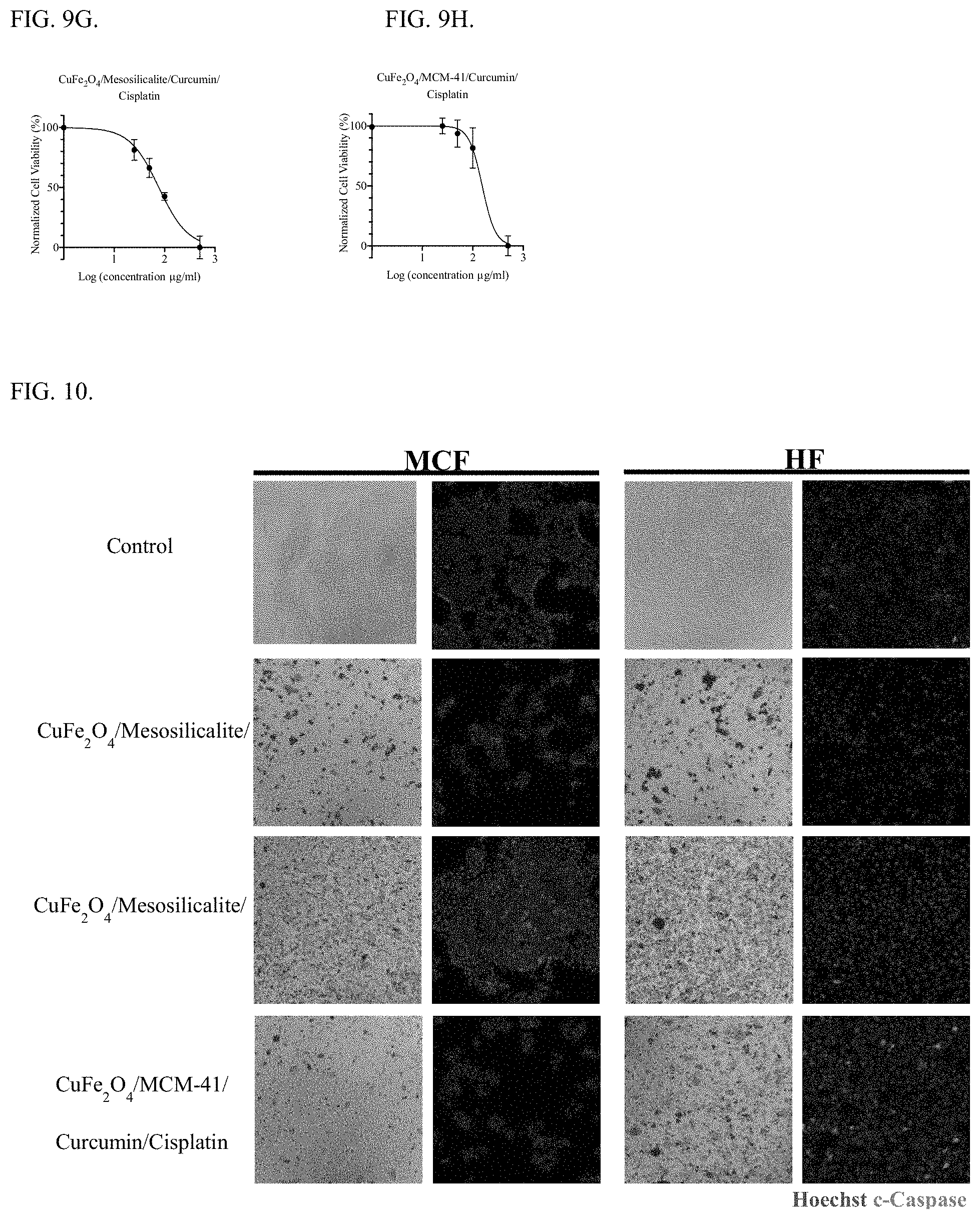 Patent US11779652 Figure 9 – Porous silicate/magnetic ferrite nanocarrier for combination anti-cancer therapeutic and antioxidant delivery